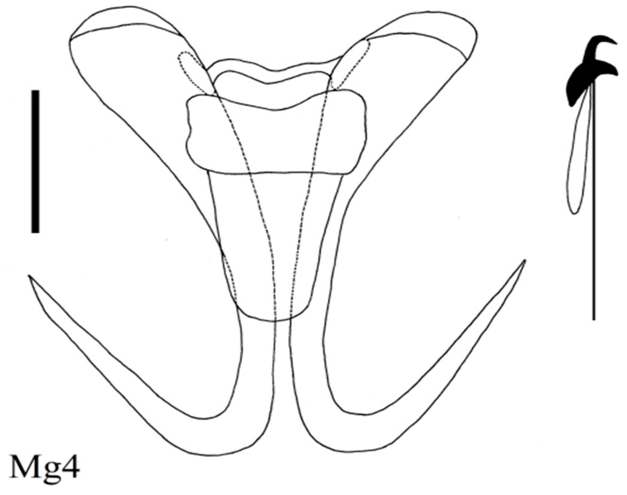 Diversity 15 00860 g015