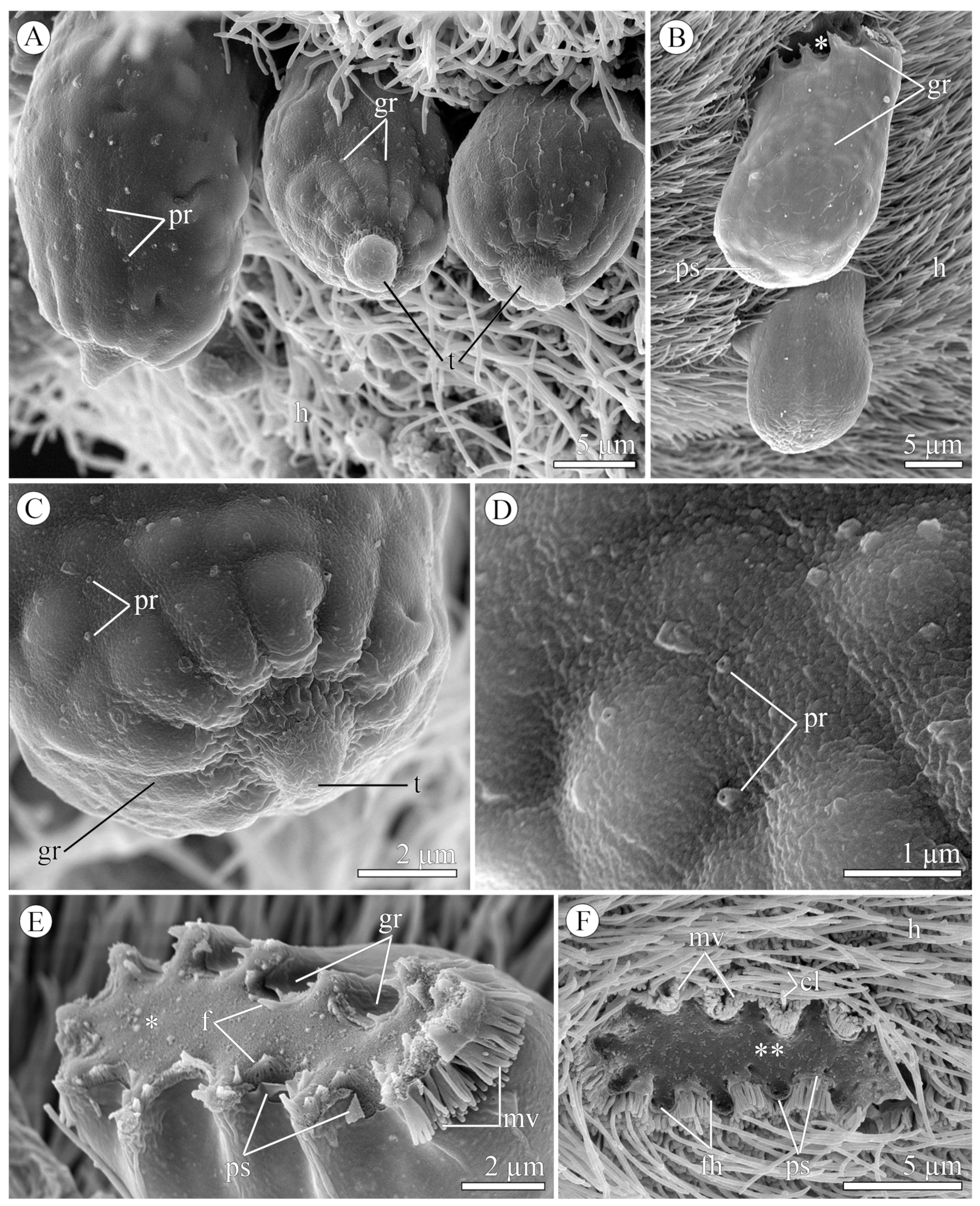 Diversity 15 00863 g002 Diversity 15 00863 g002