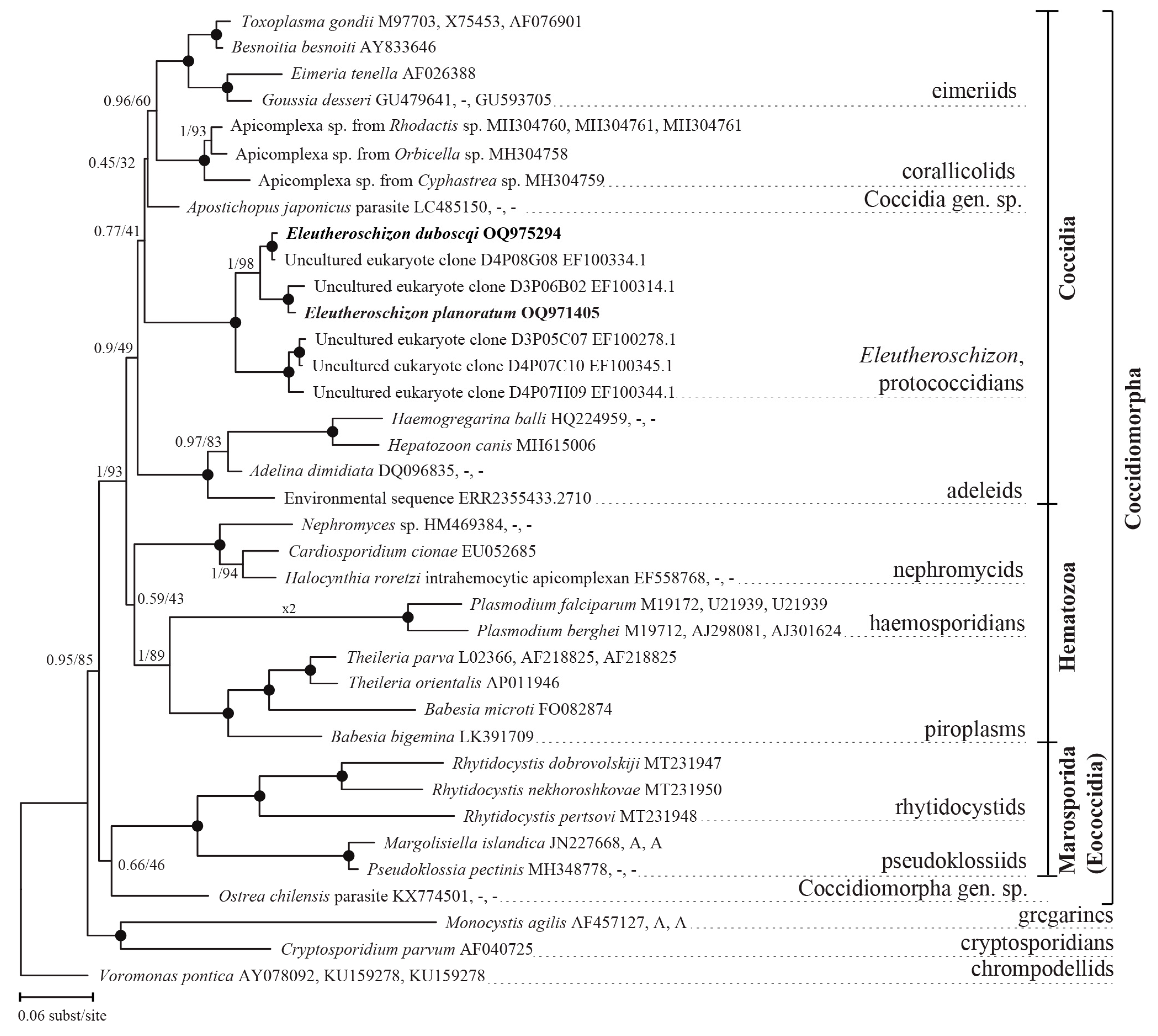 Diversity 15 00863 g004 Diversity 15 00863 g004