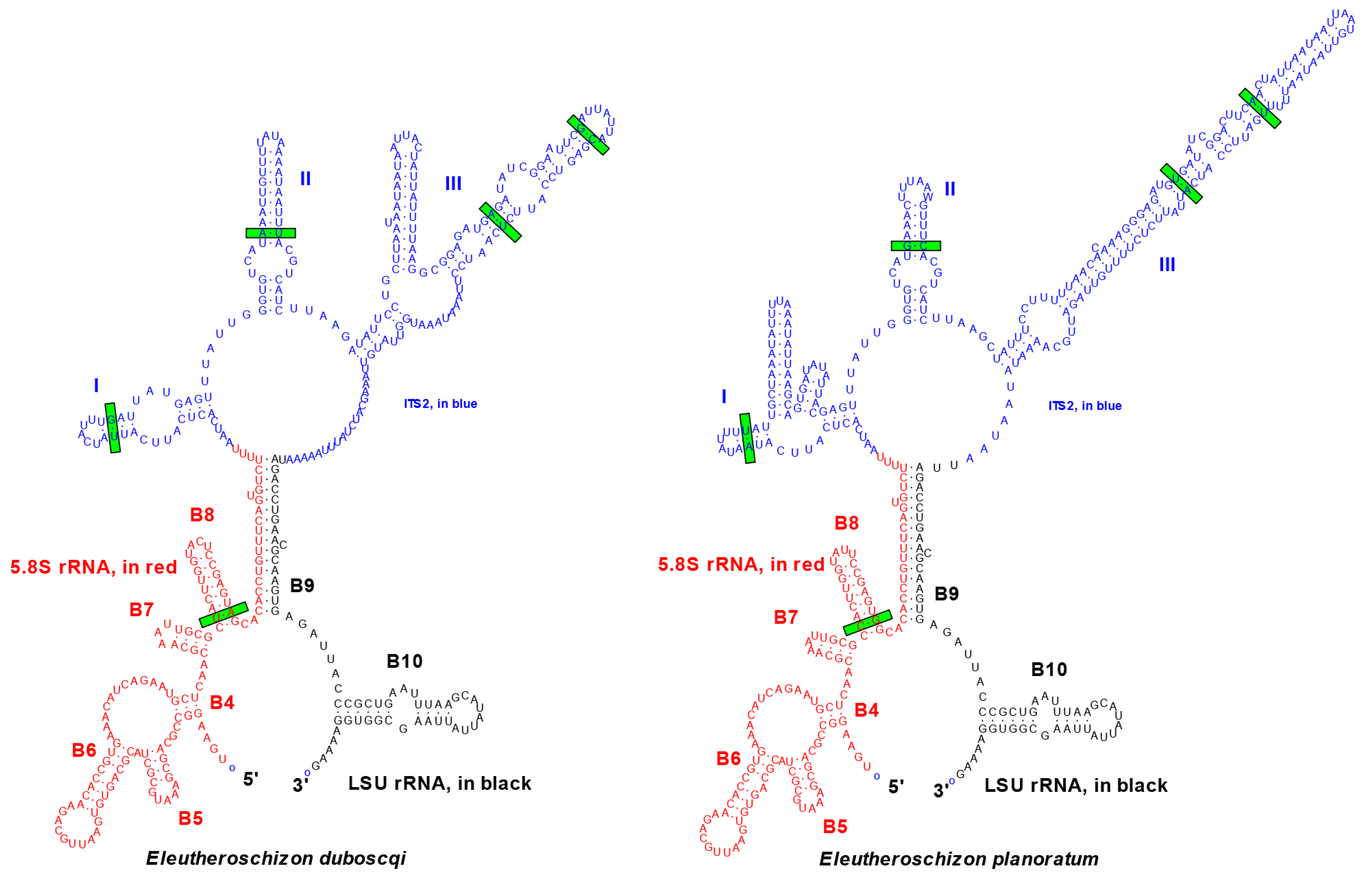 Diversity 15 00863 g005 Diversity 15 00863 g005