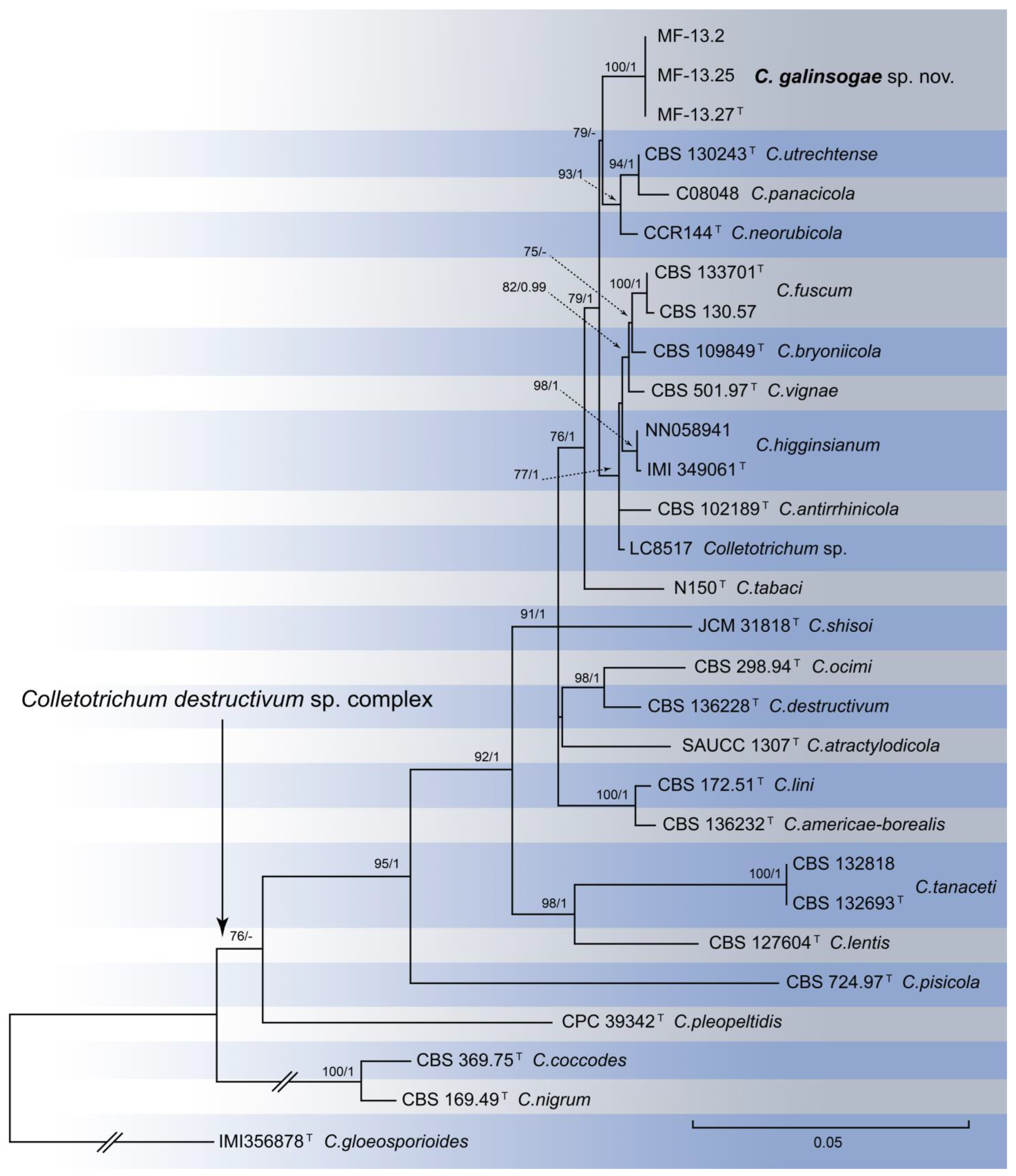 Diversity 15 00866 g001 Diversity 15 00866 g001