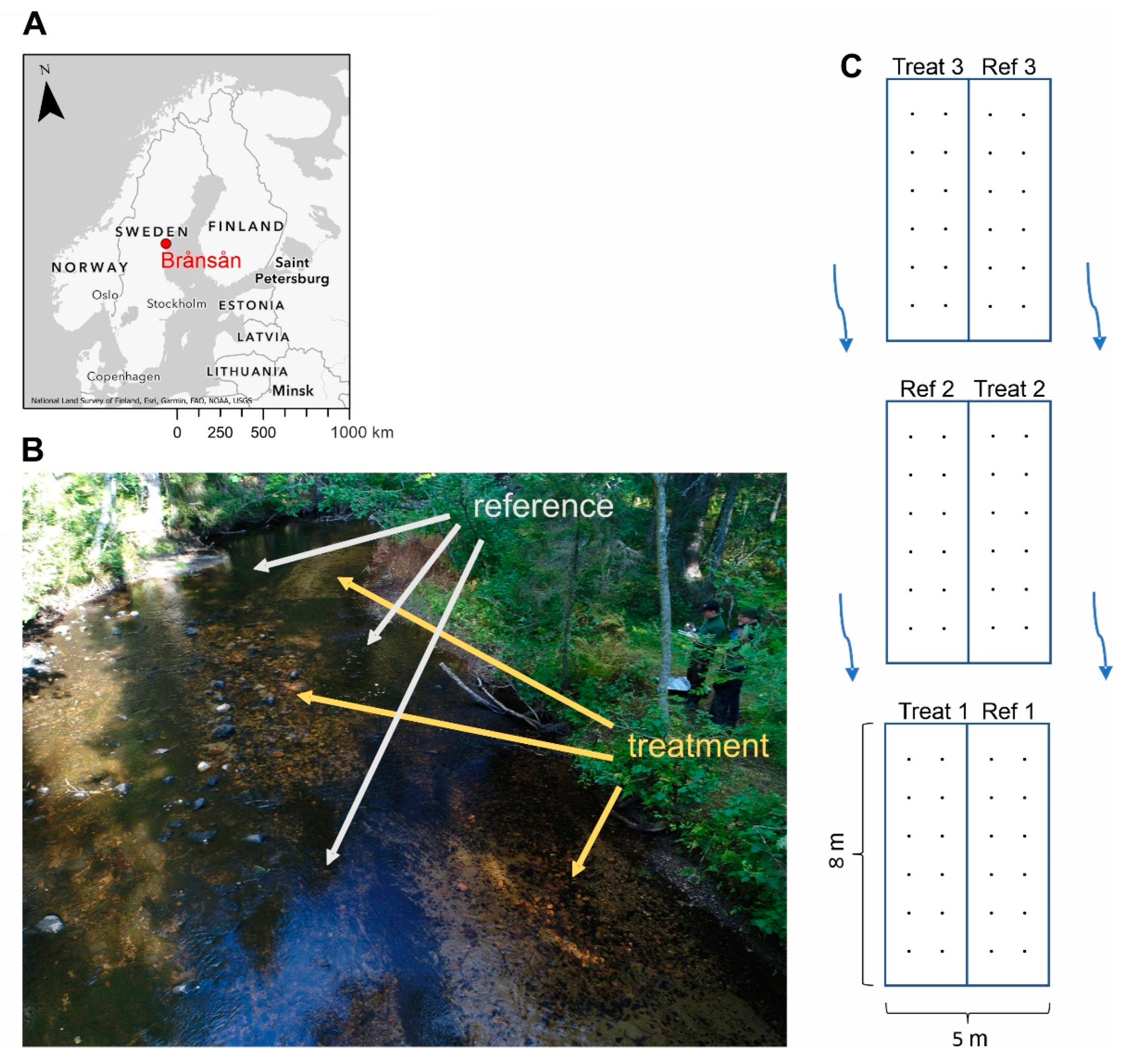 Diversity 15 00869 g001 Diversity 15 00869 g001