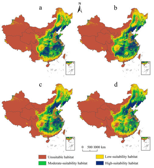 Potential Distribution of Bryophyte, Entodon challengeri Potential Distribution of Bryophyte, Entodon challengeri