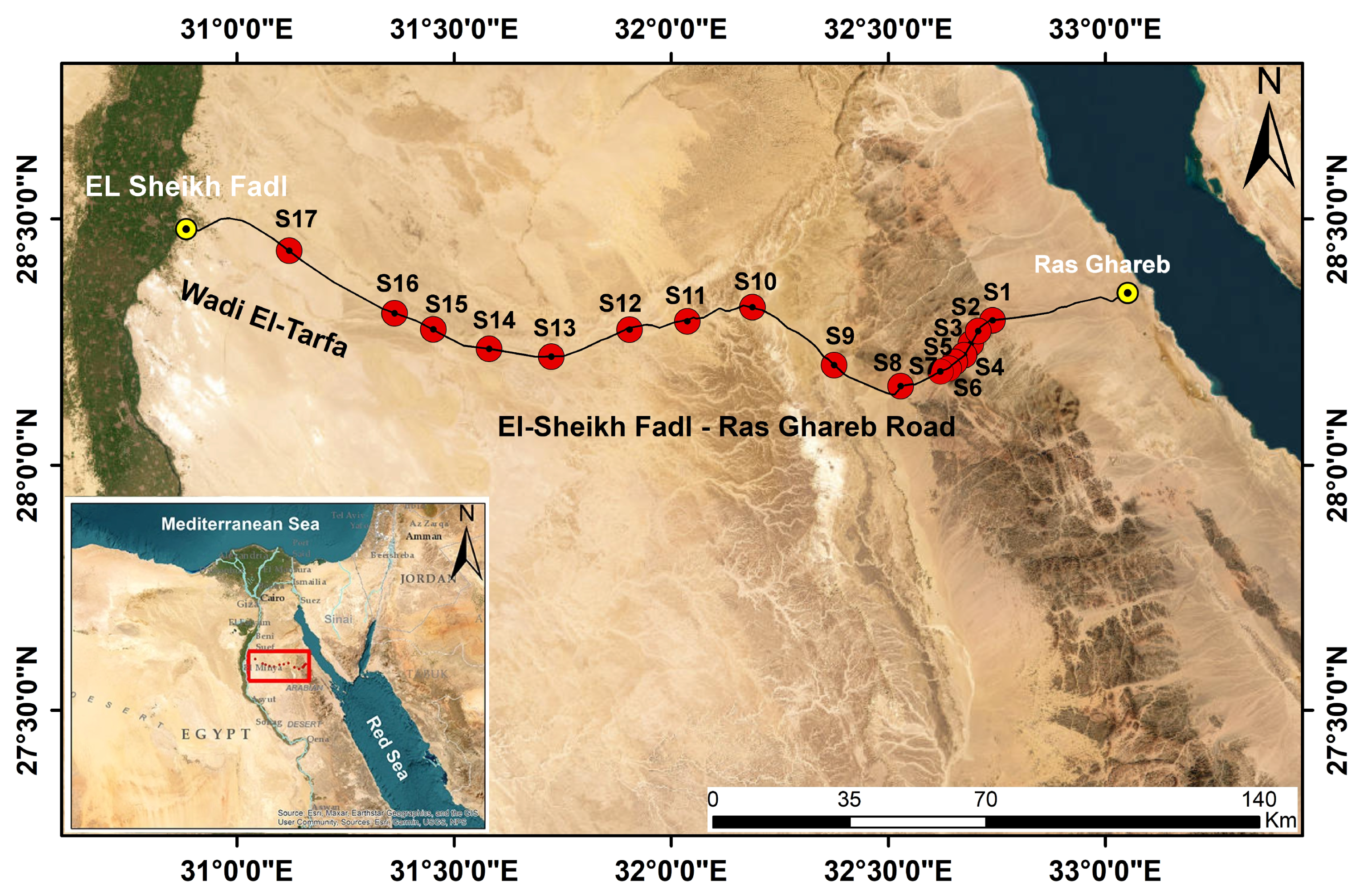 Diversity 15 00874 g001