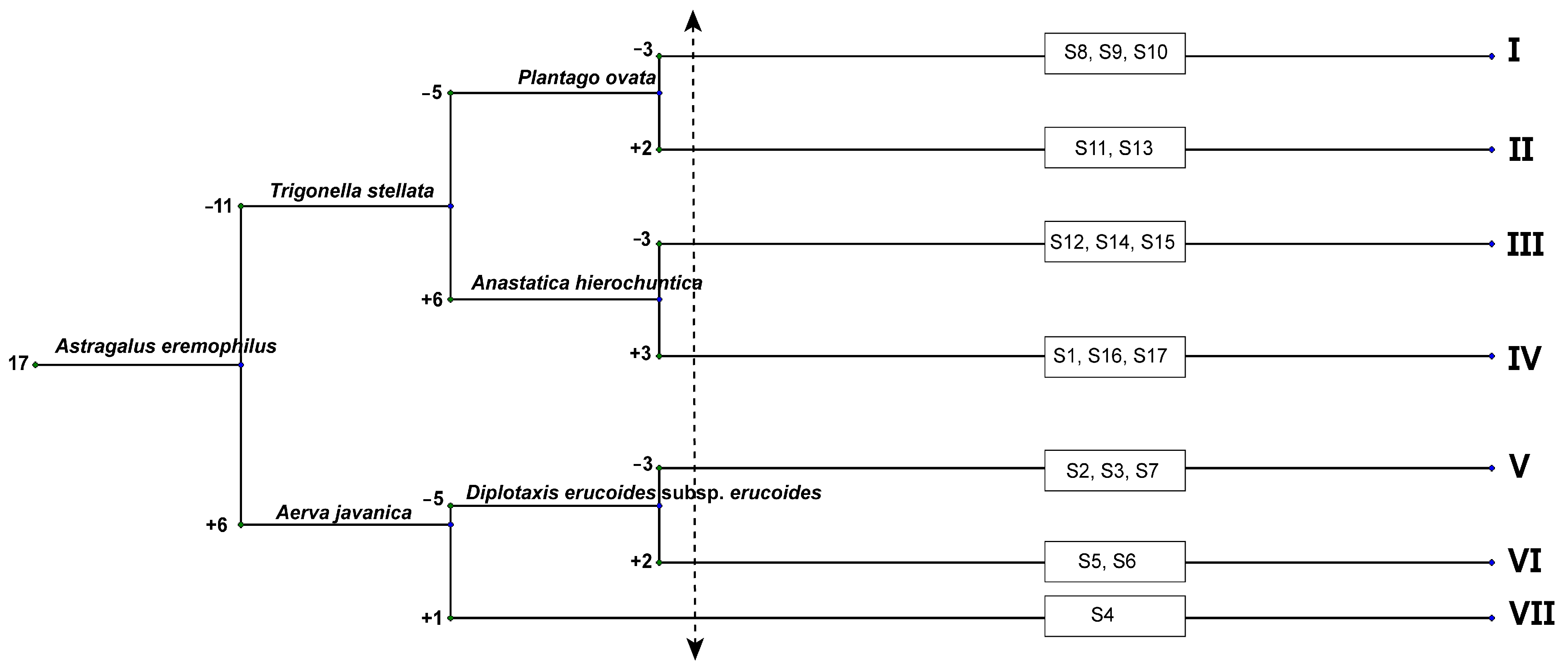 Diversity 15 00874 g006