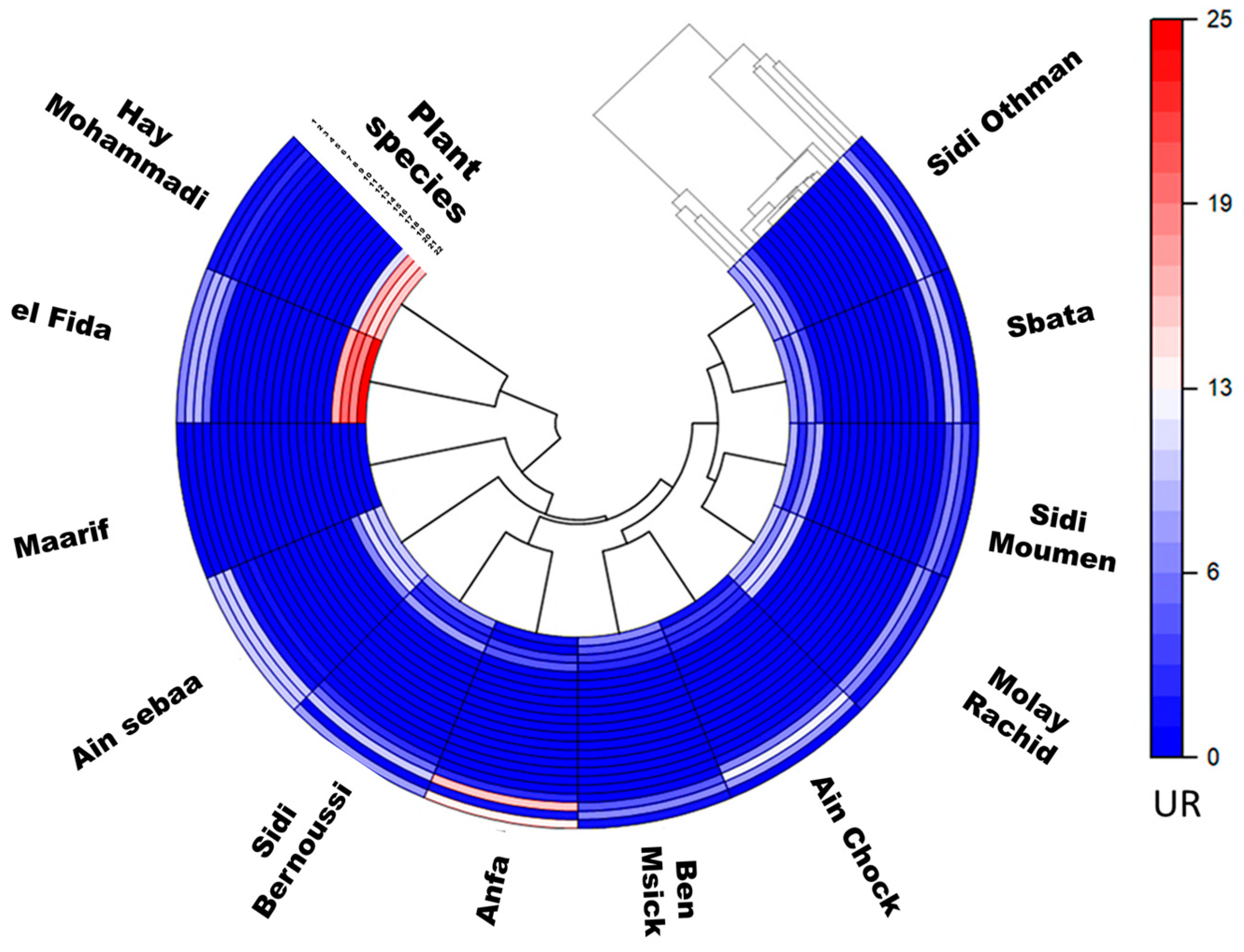 Diversity 15 00879 g003 Diversity 15 00879 g003