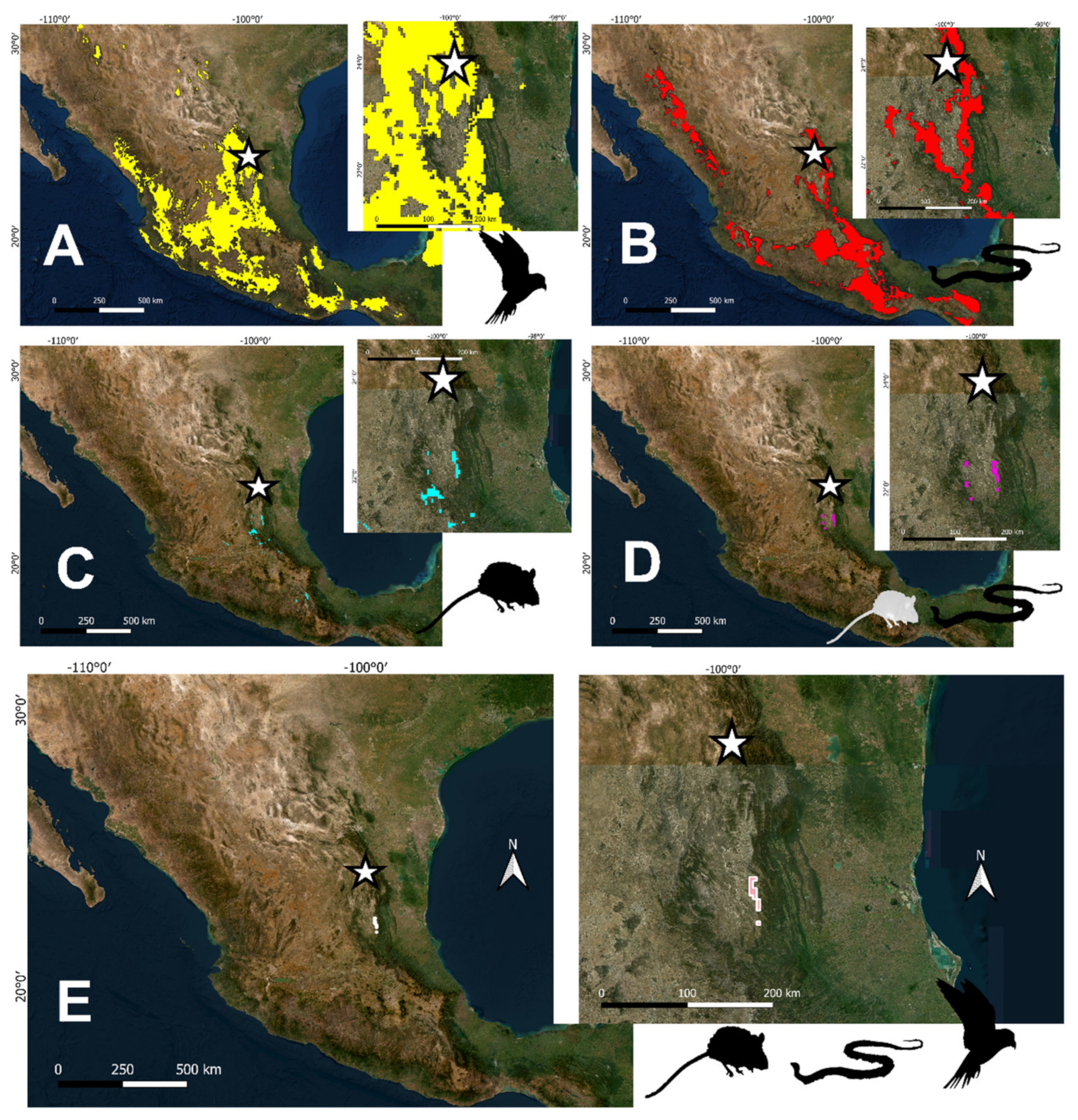 Diversity 15 00881 g004 Diversity 15 00881 g004