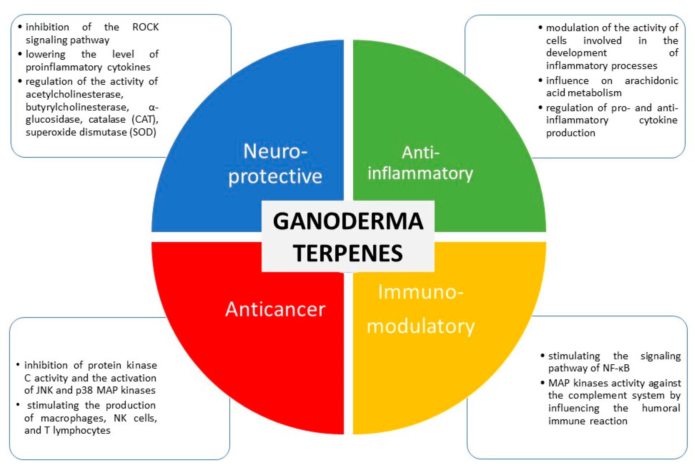 Diversity 15 00882 g003 Diversity 15 00882 g003