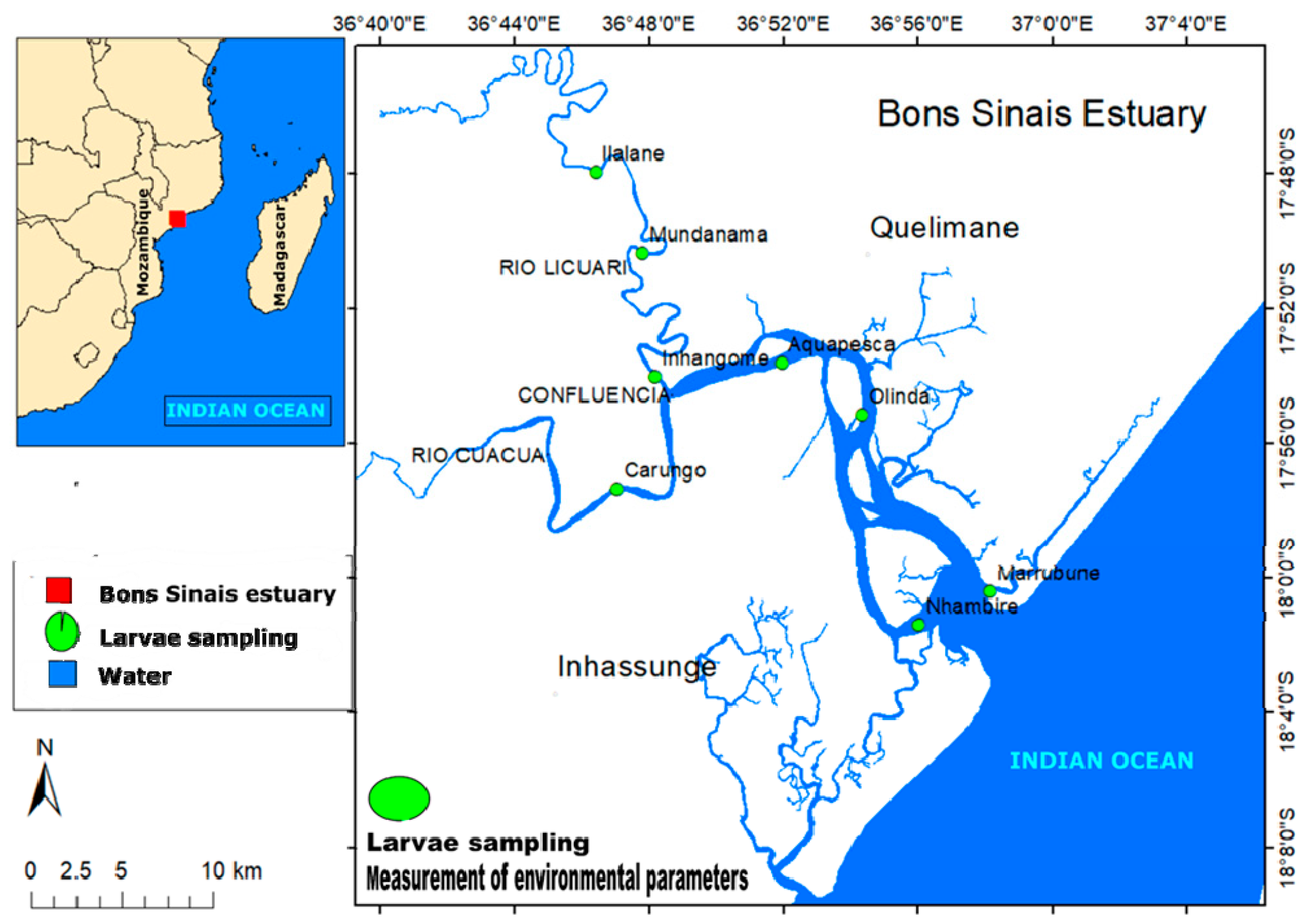 Diversity 15 00883 g001 Diversity 15 00883 g001