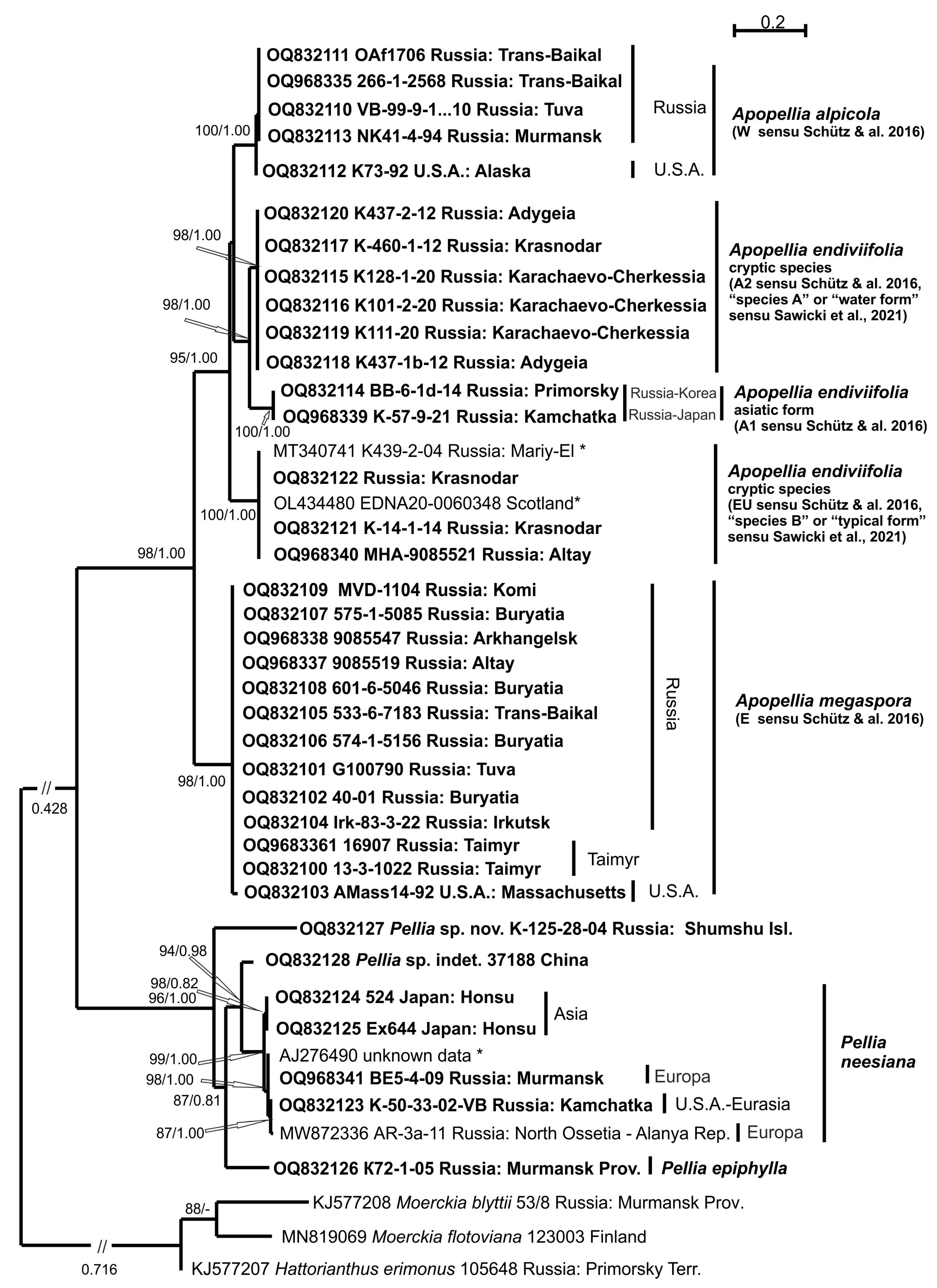 Diversity 15 00887 g001 Diversity 15 00887 g001