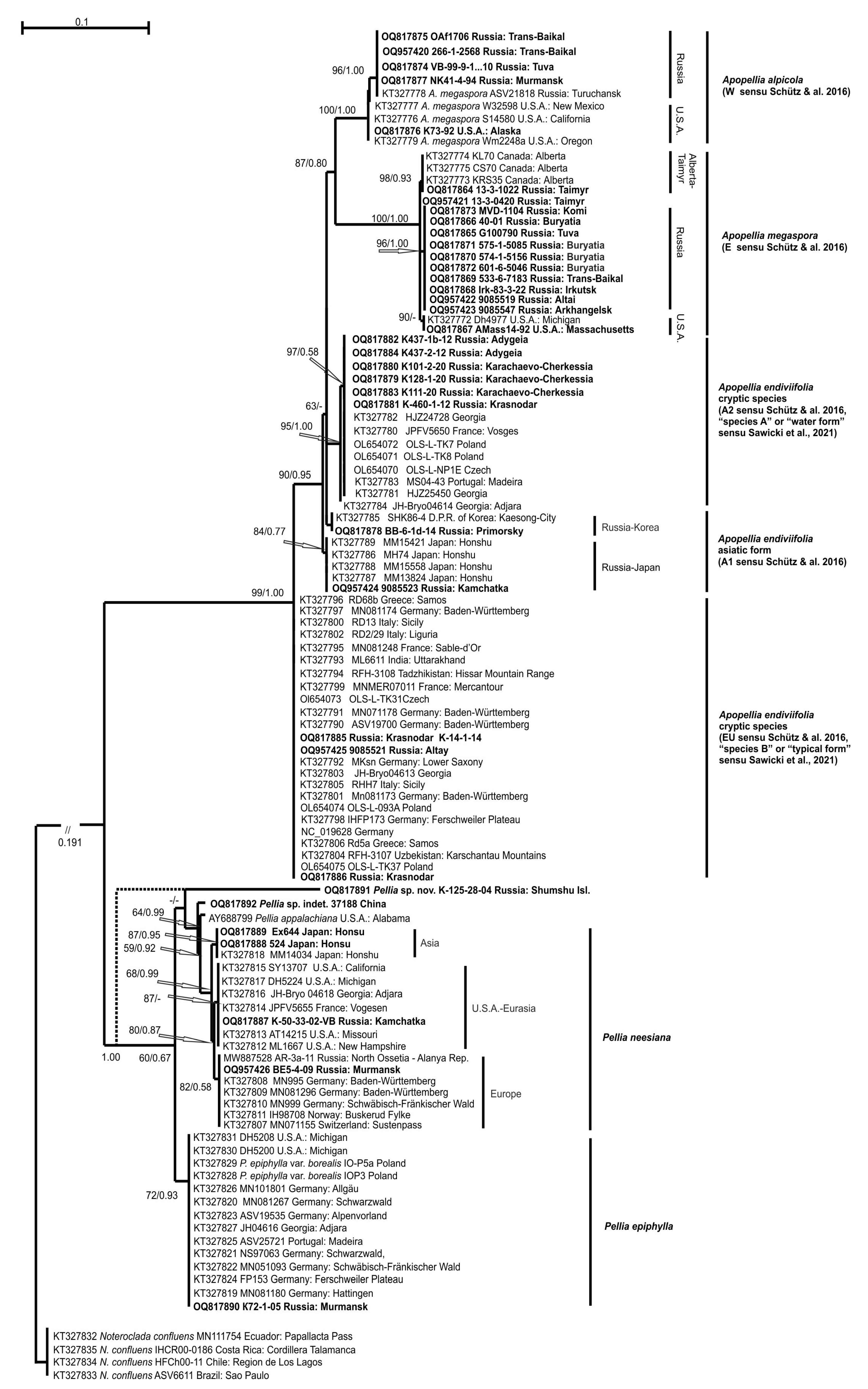 Diversity 15 00887 g002 Diversity 15 00887 g002