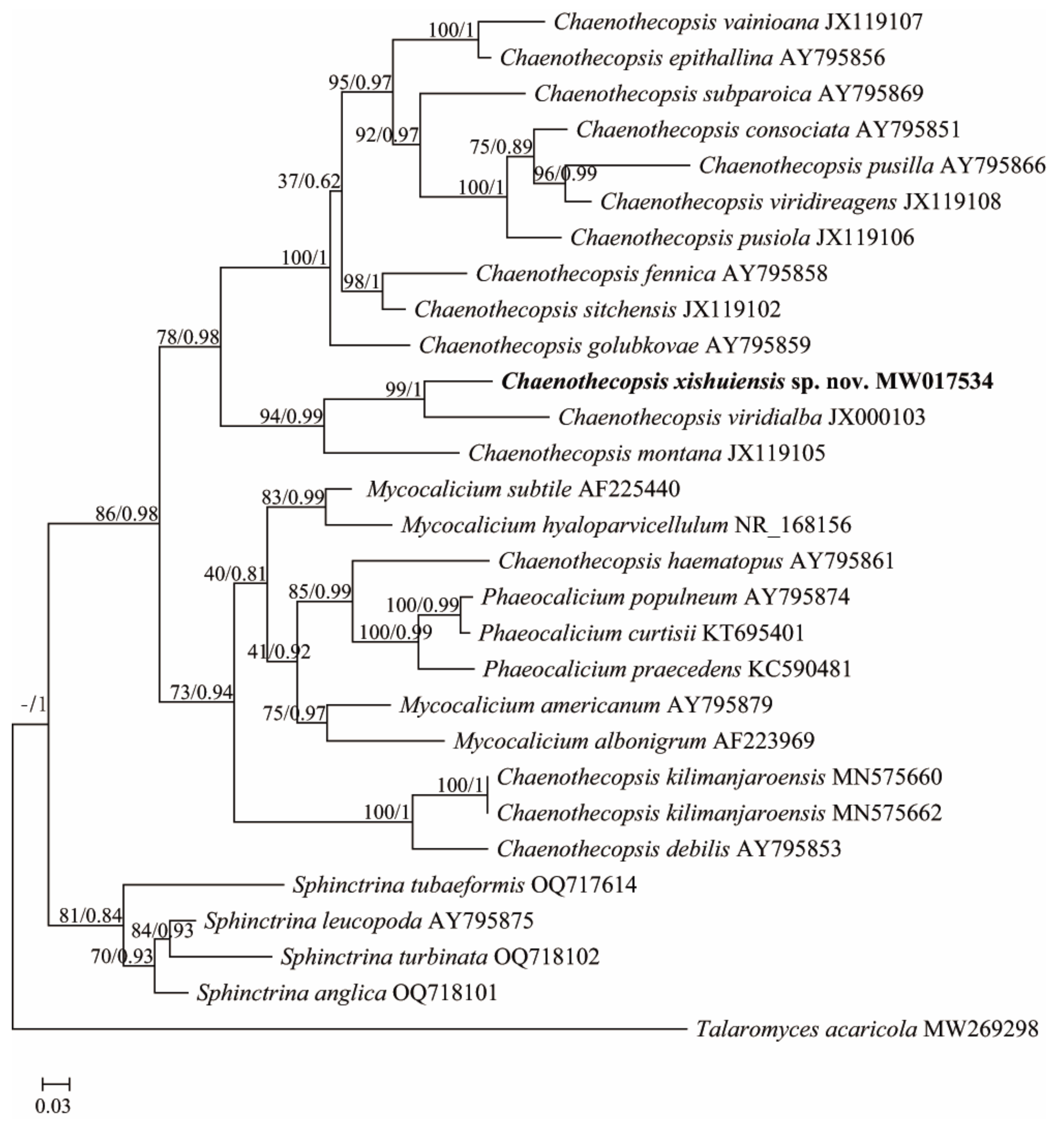 Diversity 15 00893 g001 Diversity 15 00893 g001