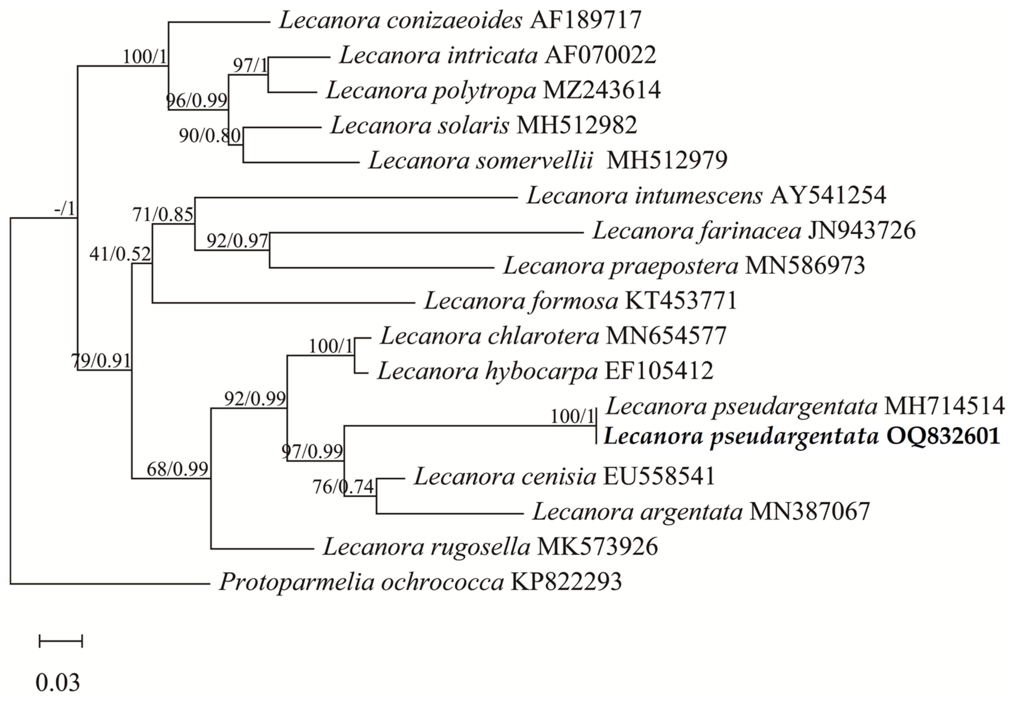 Diversity 15 00893 g002 Diversity 15 00893 g002