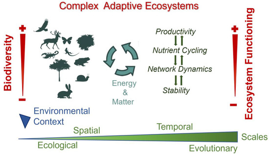 PDF) A functional vulnerability framework for biodiversity conservation