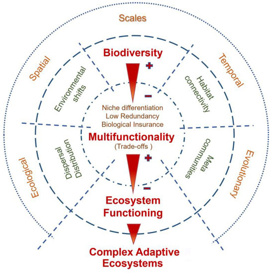 PDF) A functional vulnerability framework for biodiversity conservation