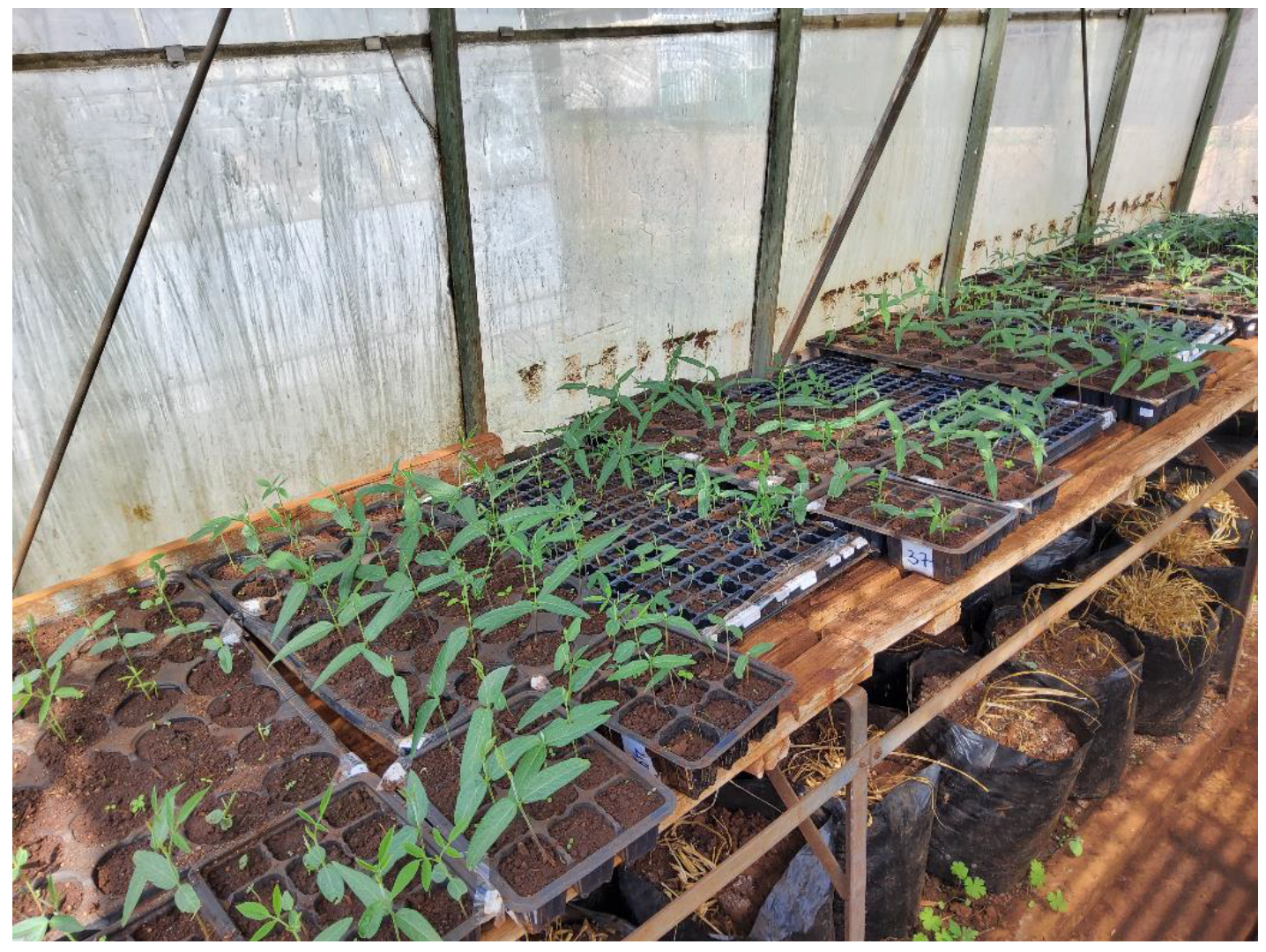 Diversity 15 00896 g004 Diversity 15 00896 g004