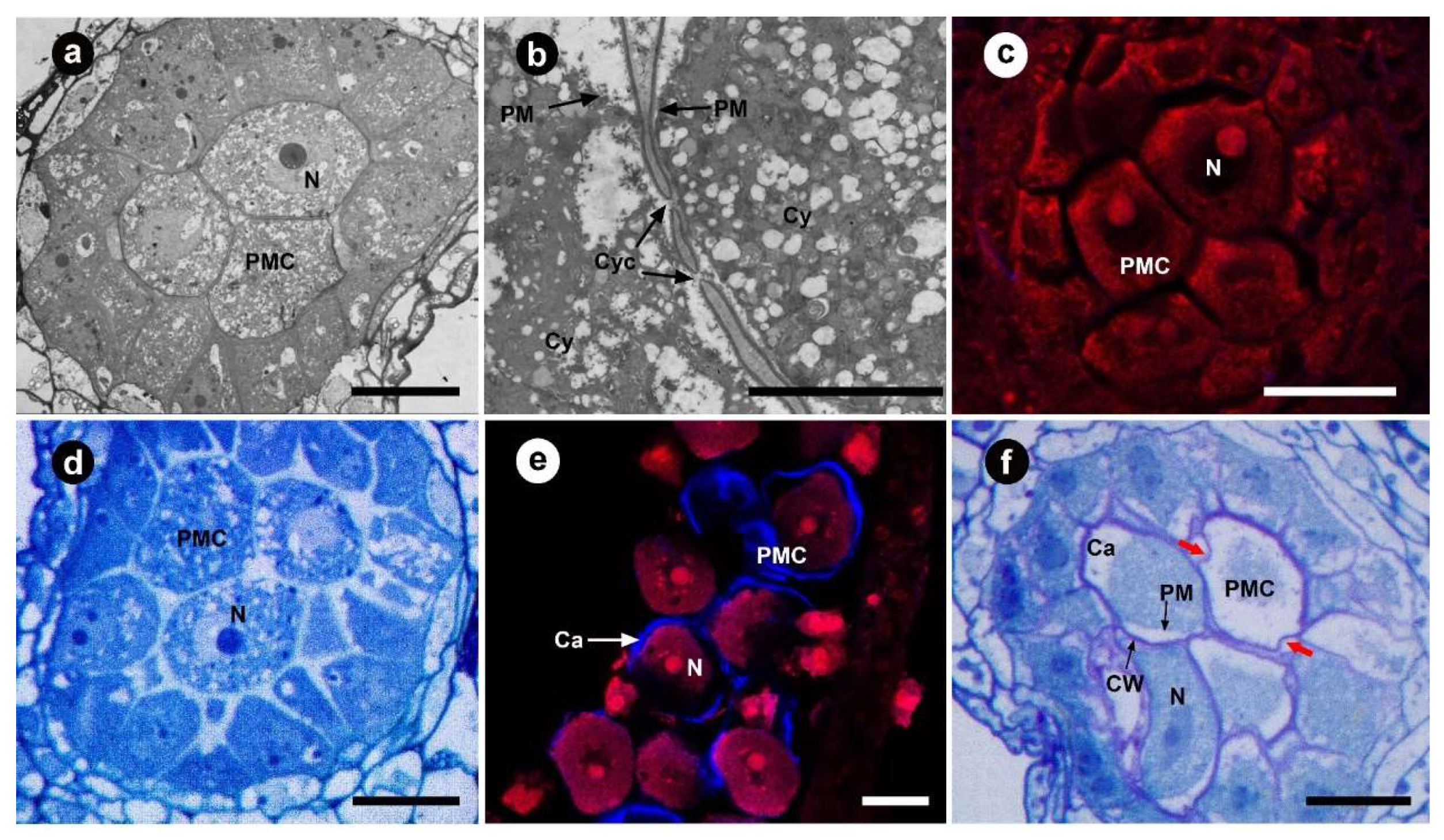 Diversity 15 00898 g003 Diversity 15 00898 g003