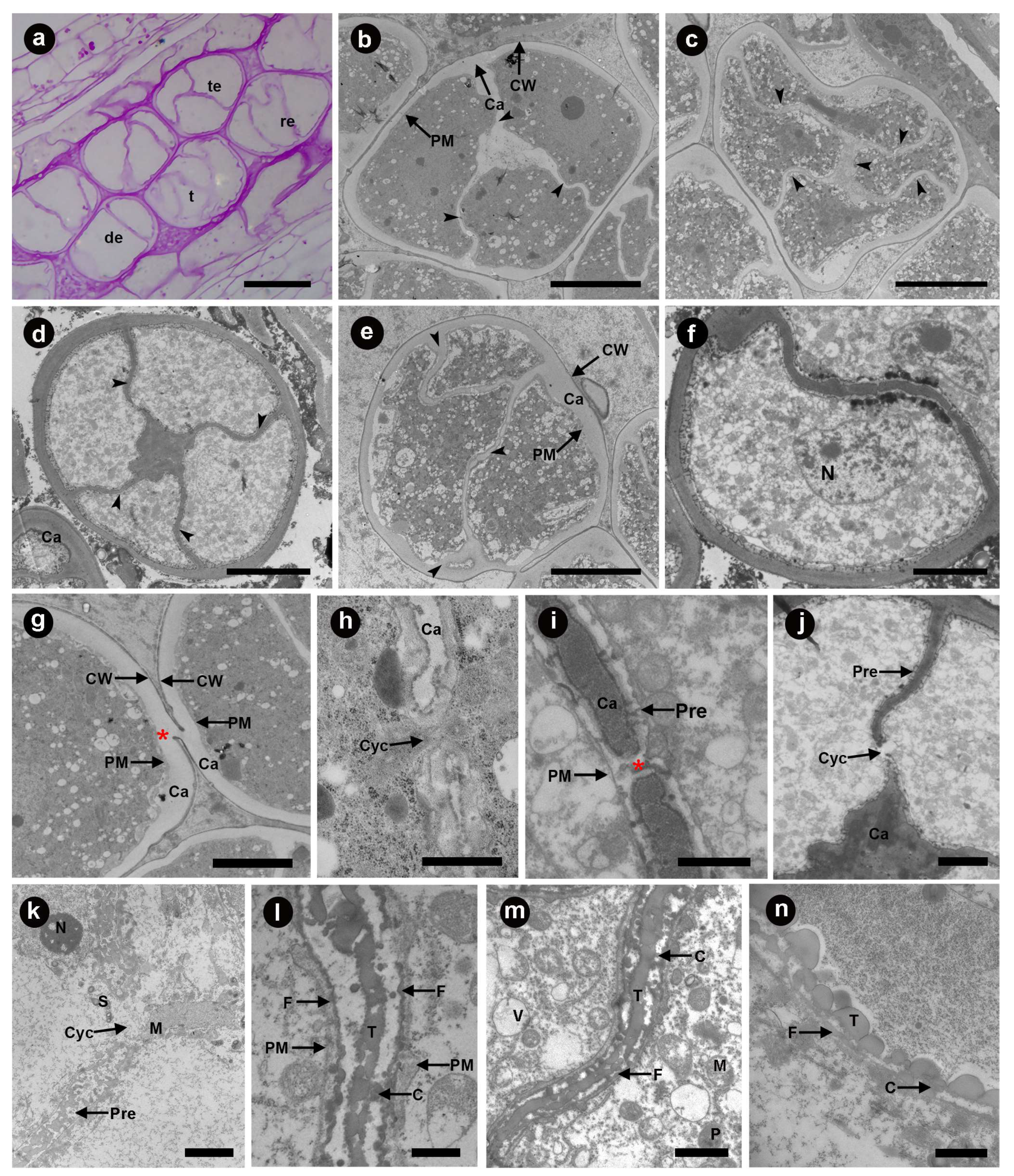 Diversity 15 00898 g005 Diversity 15 00898 g005
