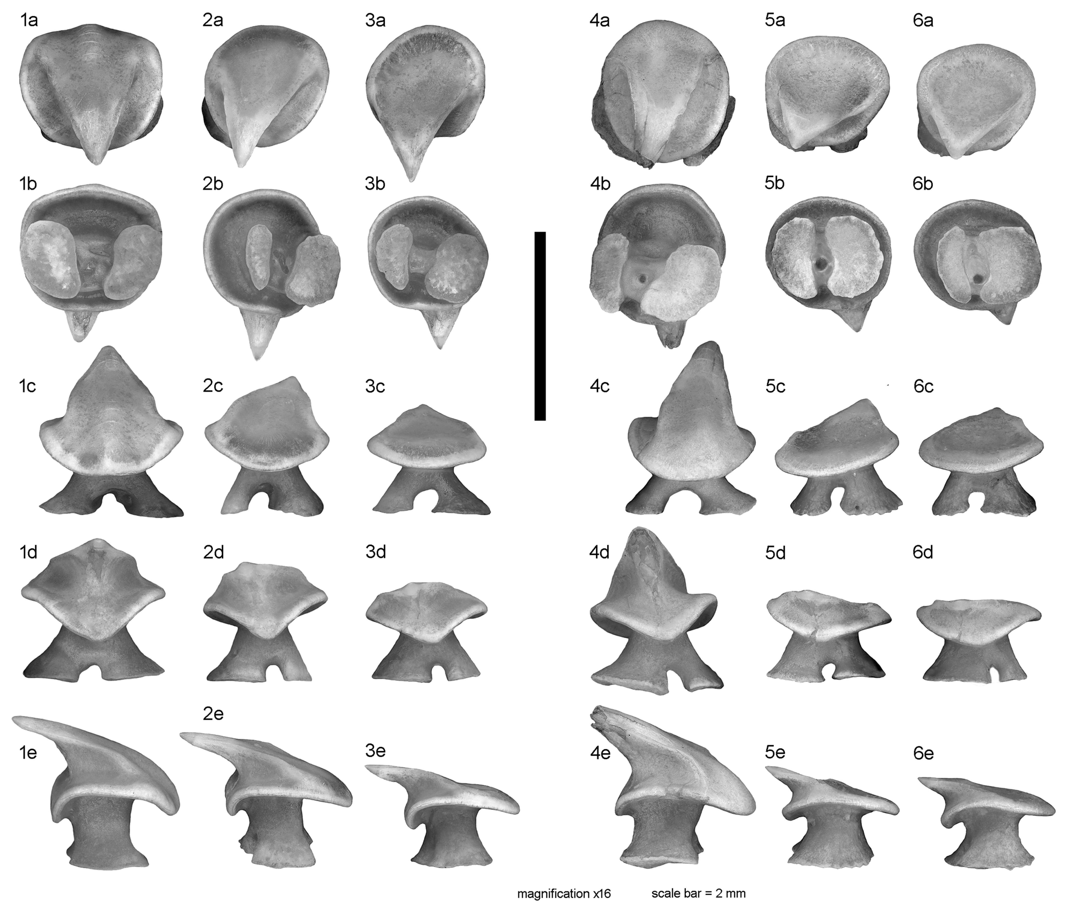 Diversity 15 00899 g002
