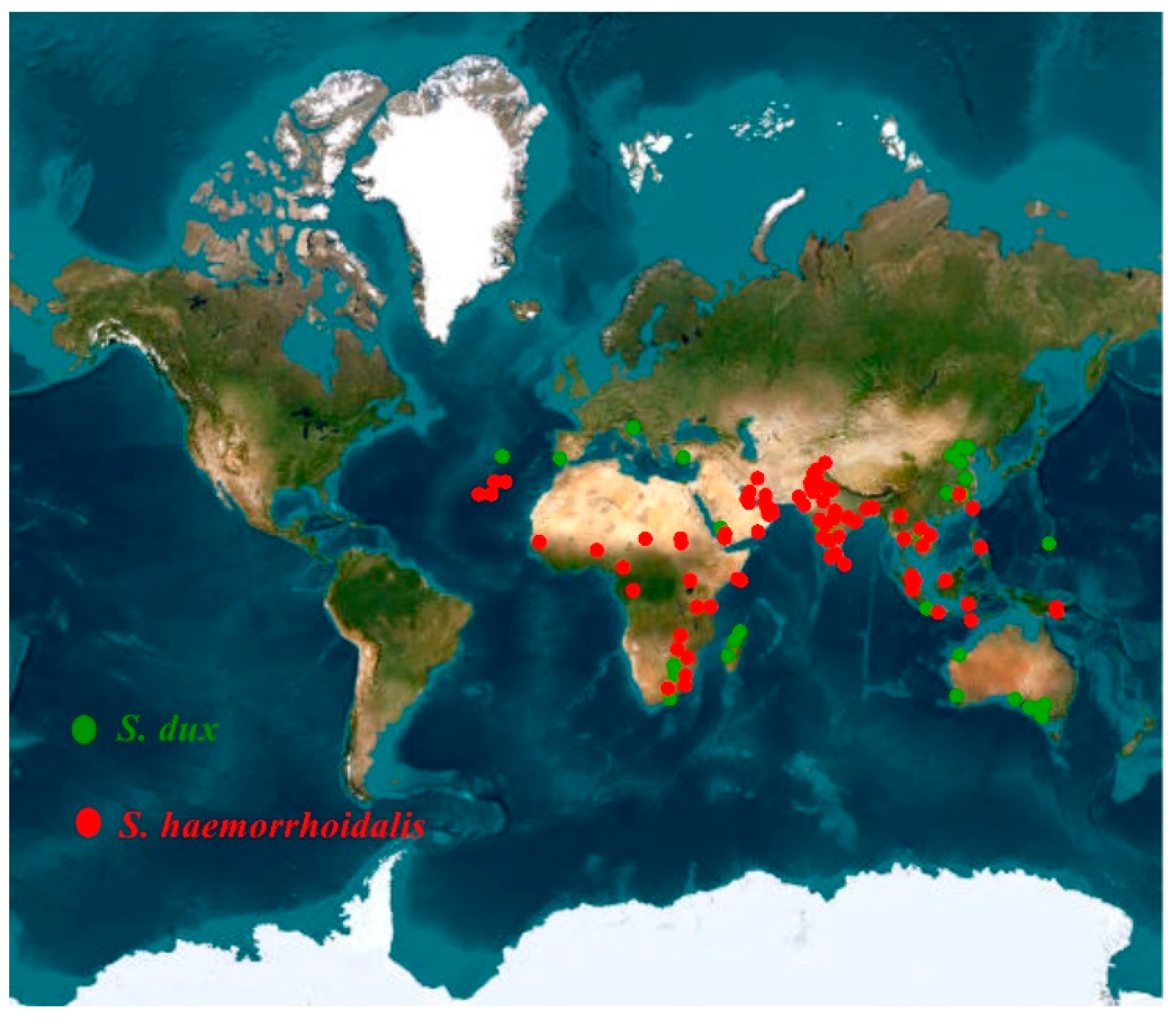 Diversity 15 00903 g001 Diversity 15 00903 g001