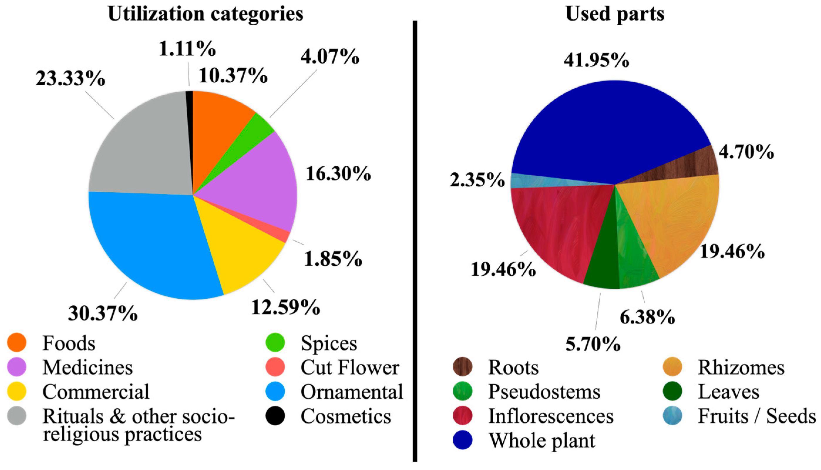 Diversity 15 00904 g016 Diversity 15 00904 g016