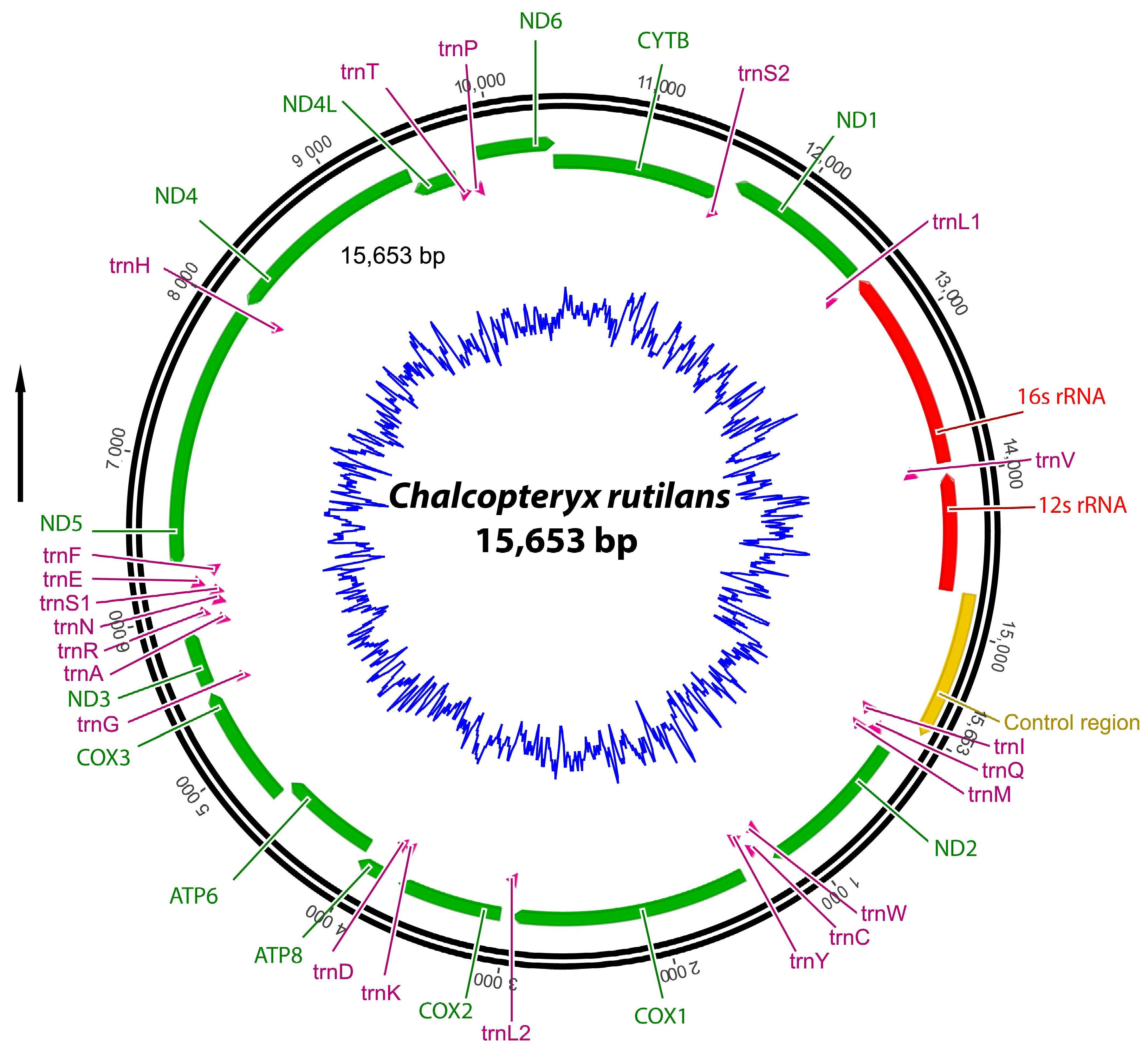 Diversity 15 00908 g002