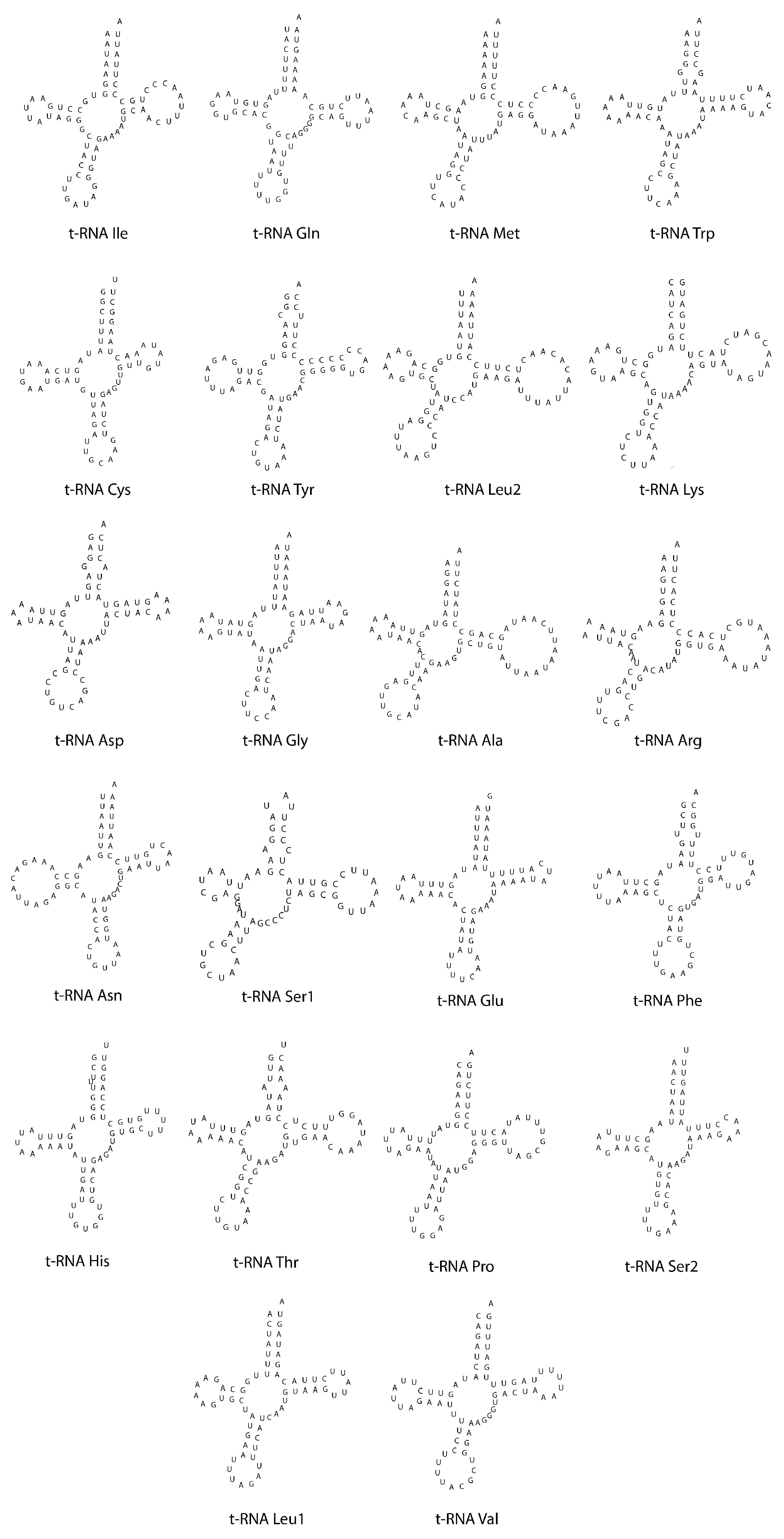 Diversity 15 00908 g005
