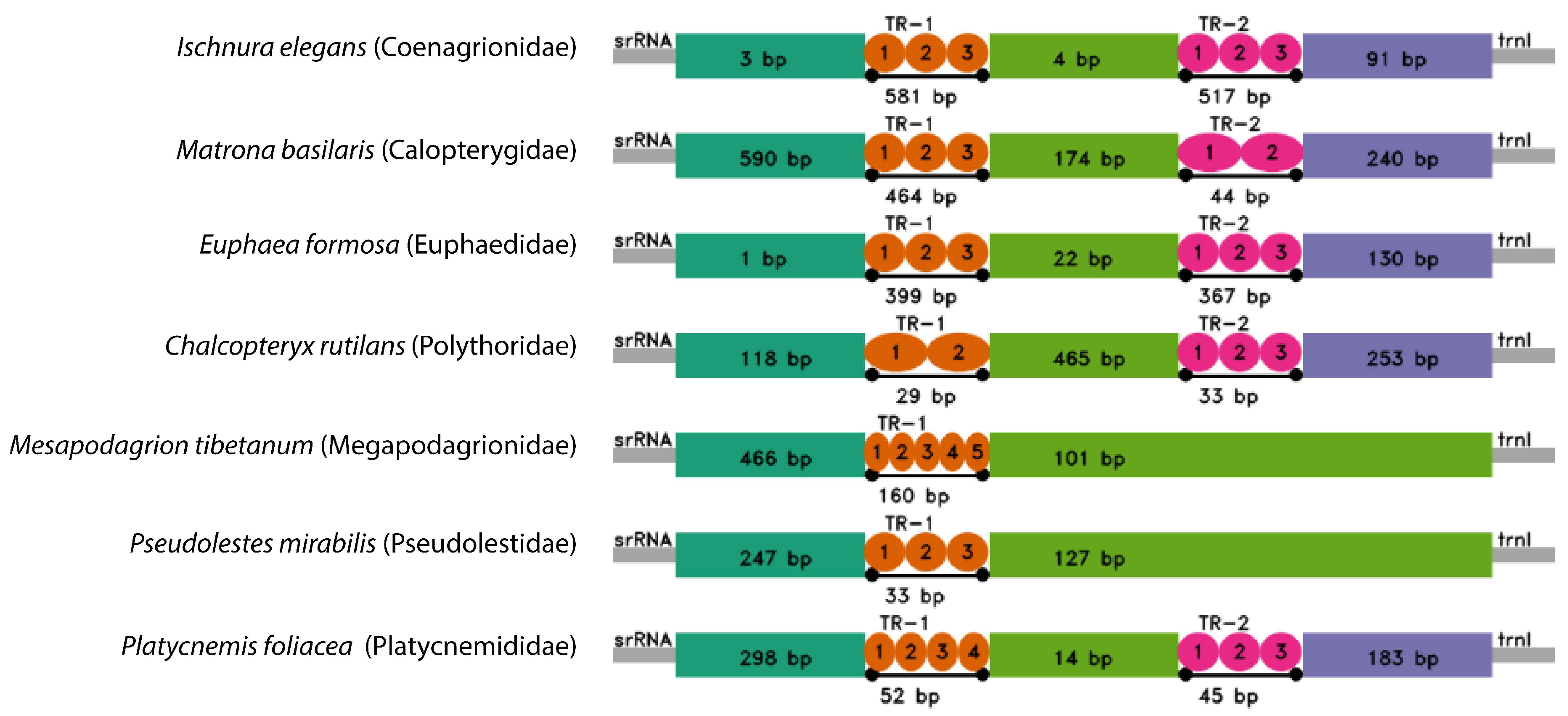 Diversity 15 00908 g006