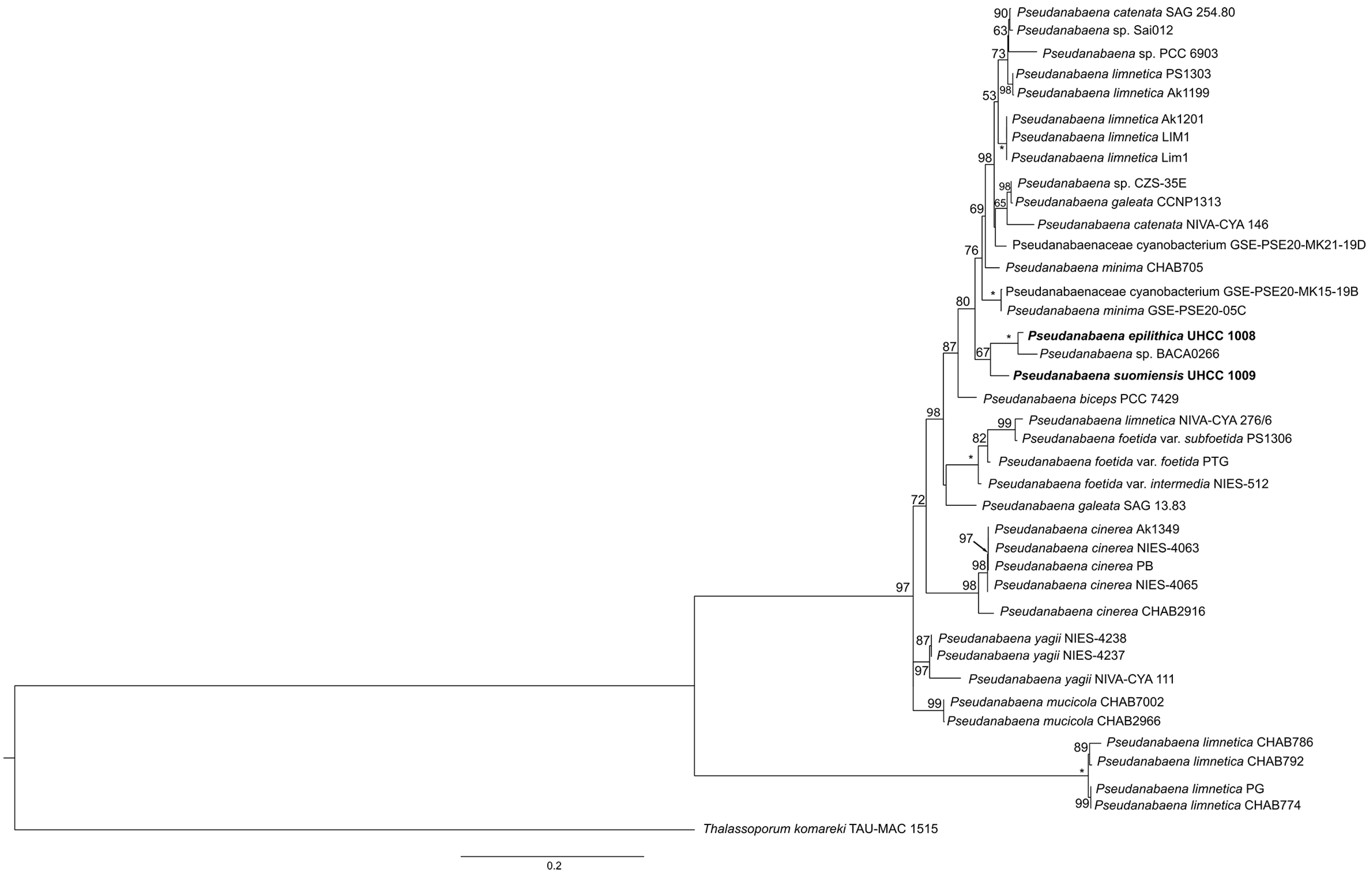 Diversity 15 00909 g004 Diversity 15 00909 g004