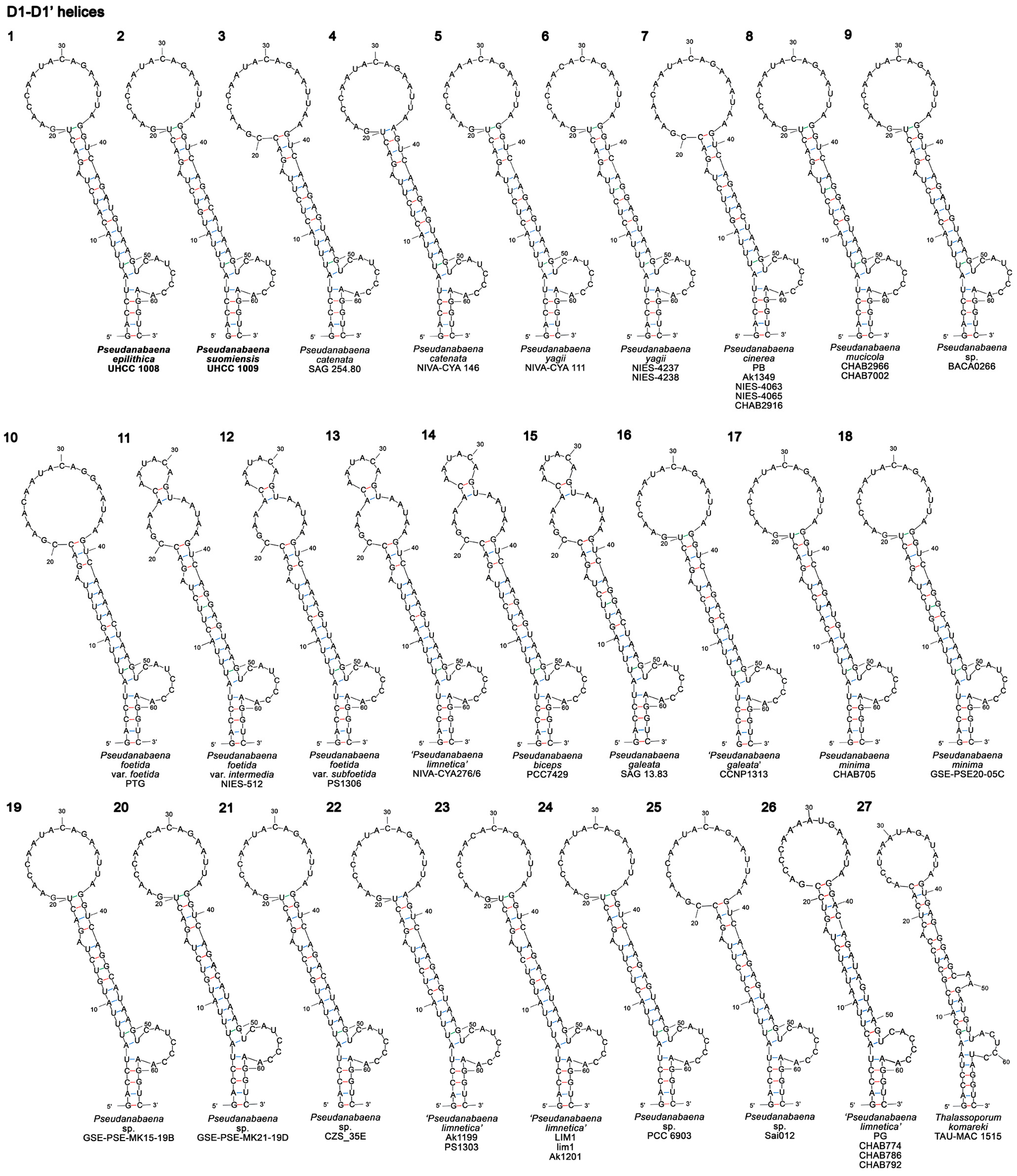 Diversity 15 00909 g005 Diversity 15 00909 g005