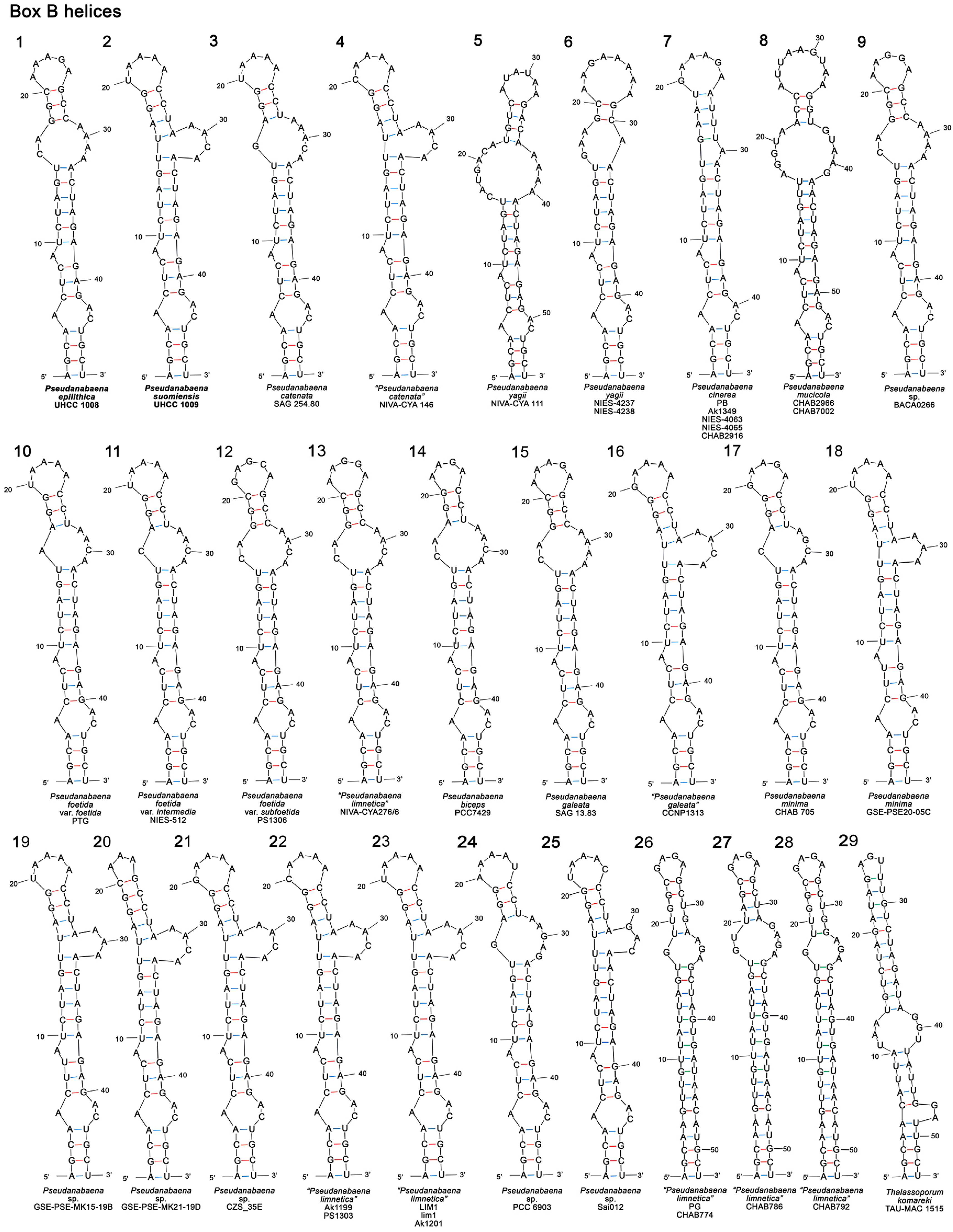 Diversity 15 00909 g006 Diversity 15 00909 g006