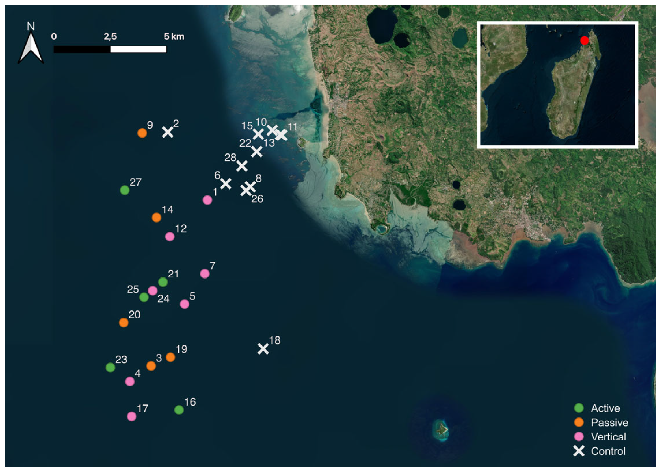 Diversity 15 00911 g001 Diversity 15 00911 g001