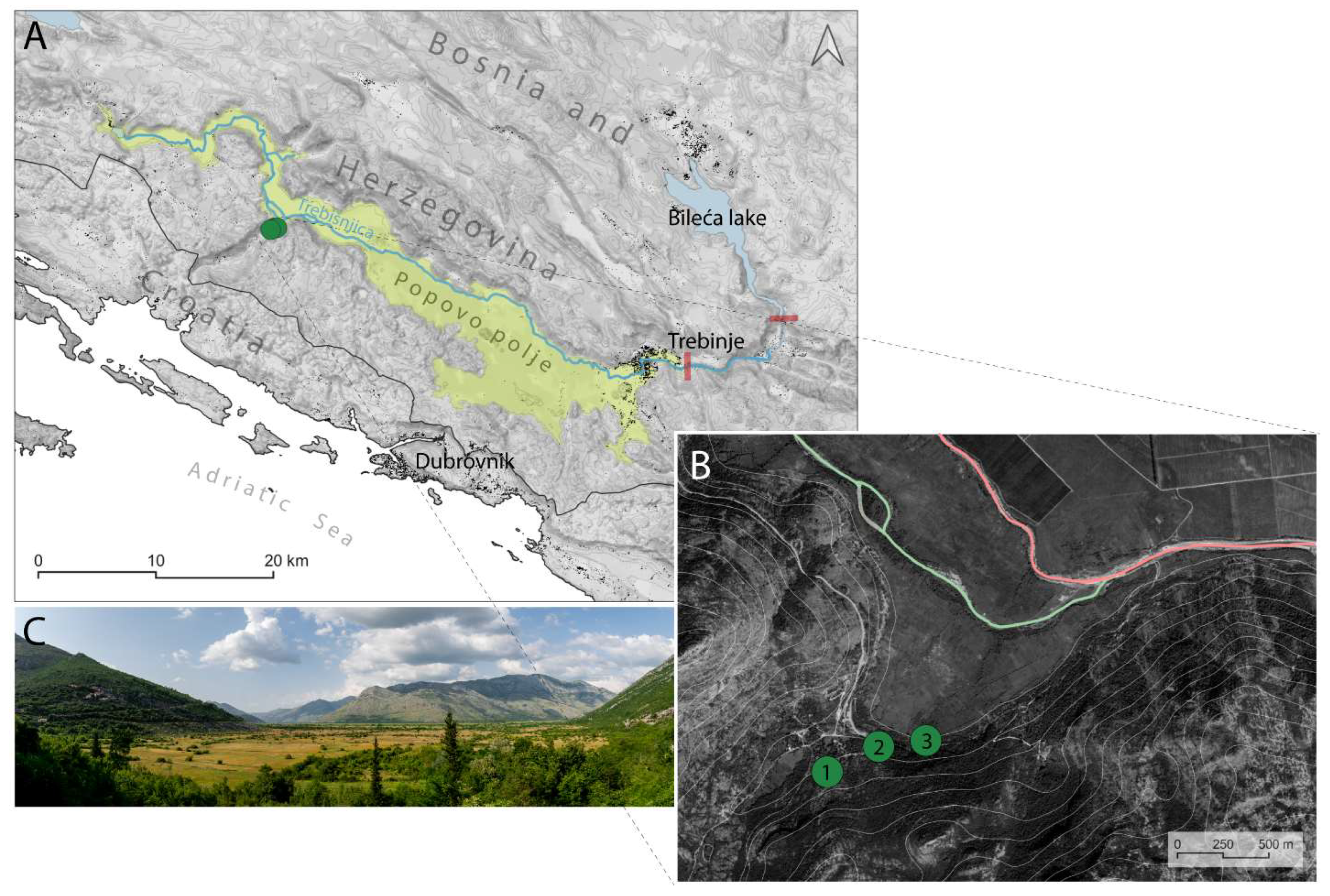 Diversity 15 00912 g001
