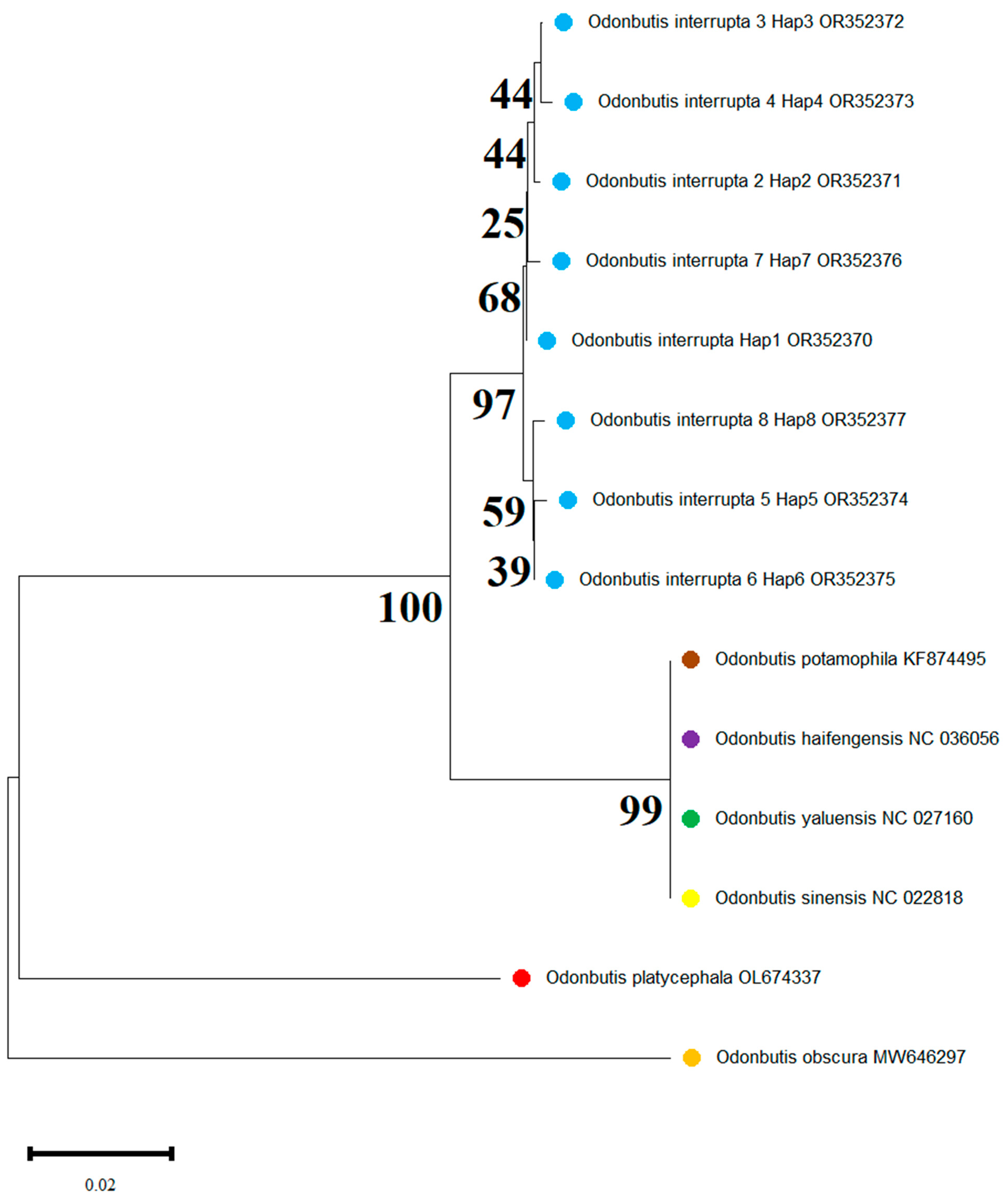 Diversity 15 00913 g002 Diversity 15 00913 g002