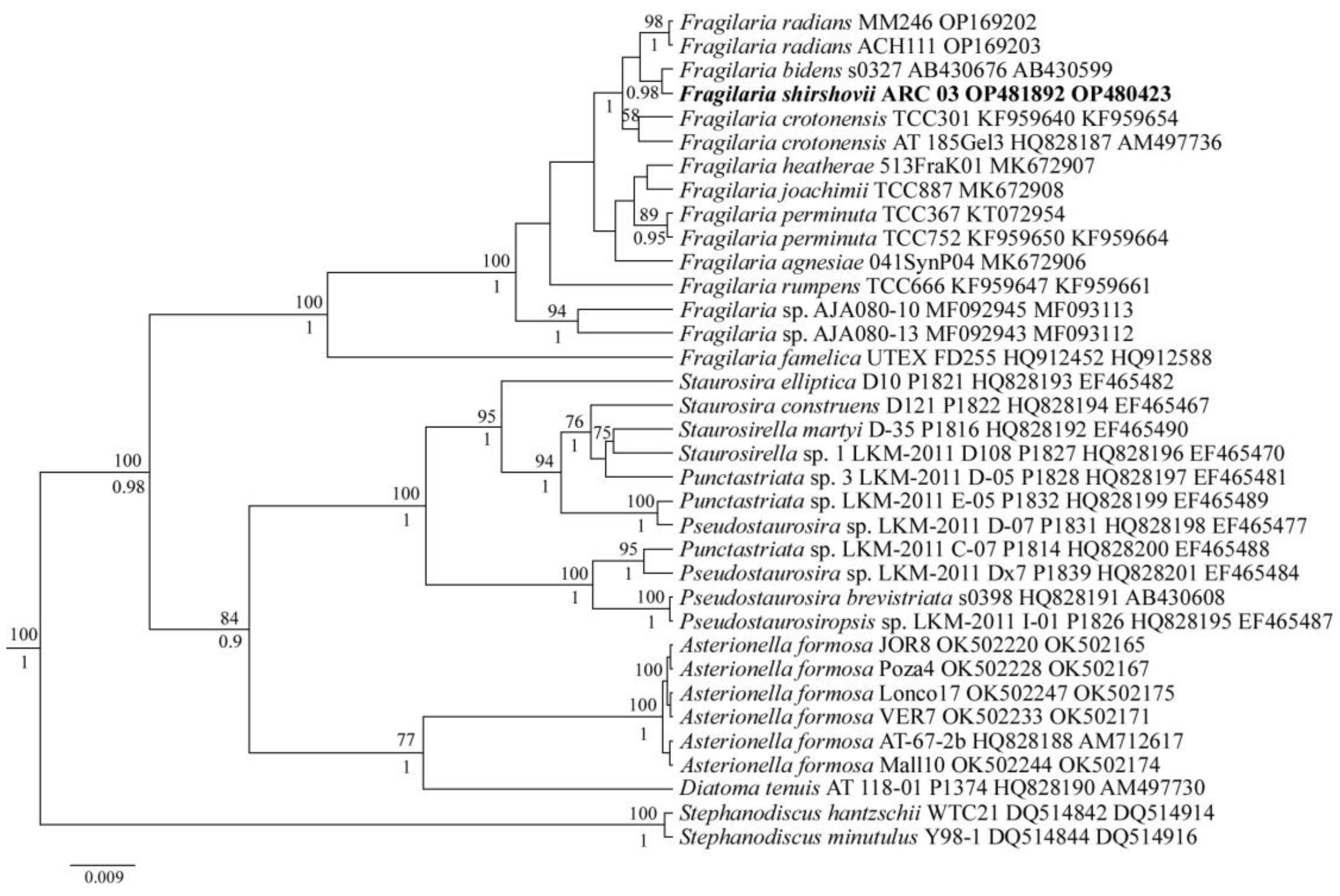 Diversity 15 00916 g003 Diversity 15 00916 g003