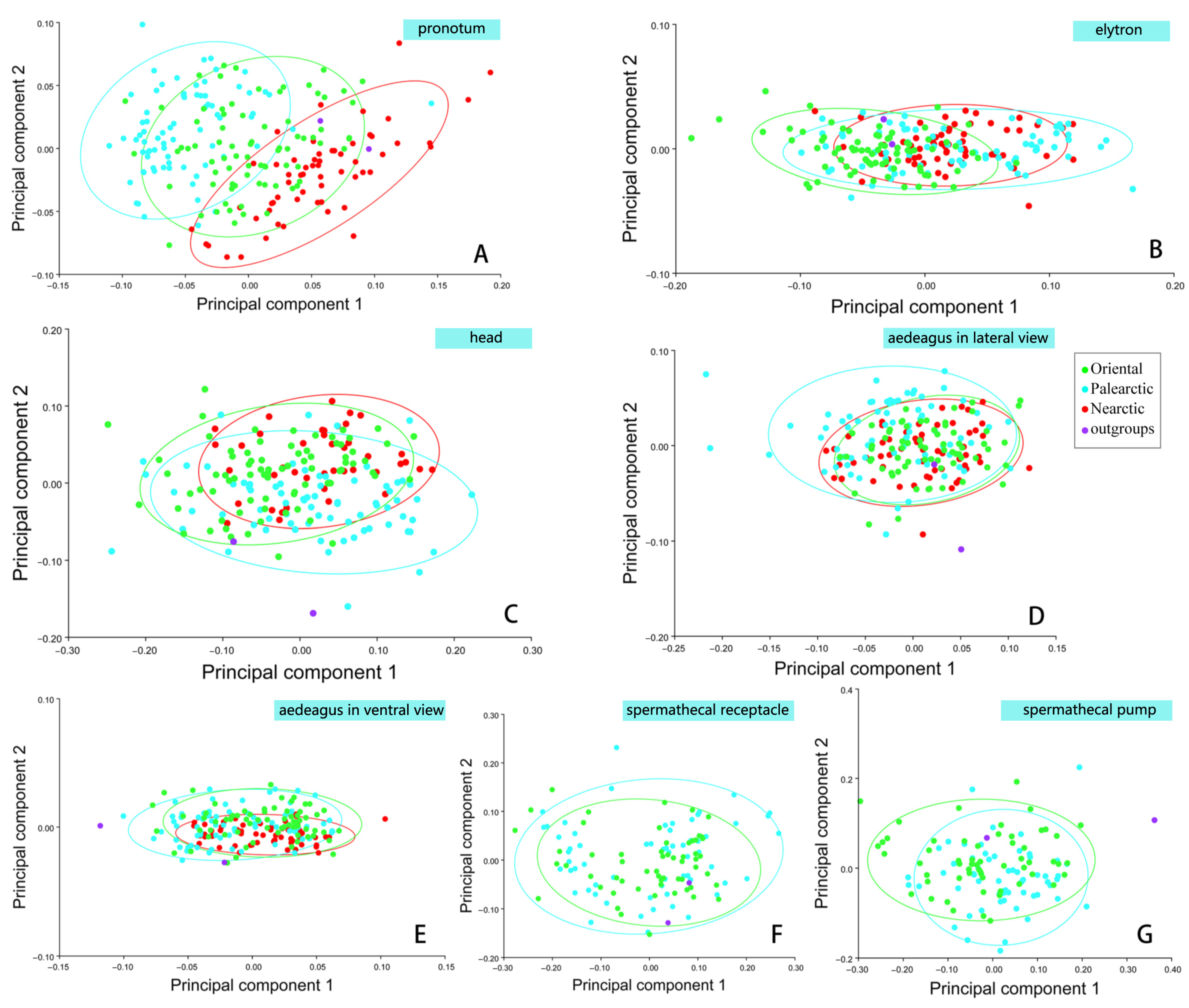 Diversity 15 00918 g007