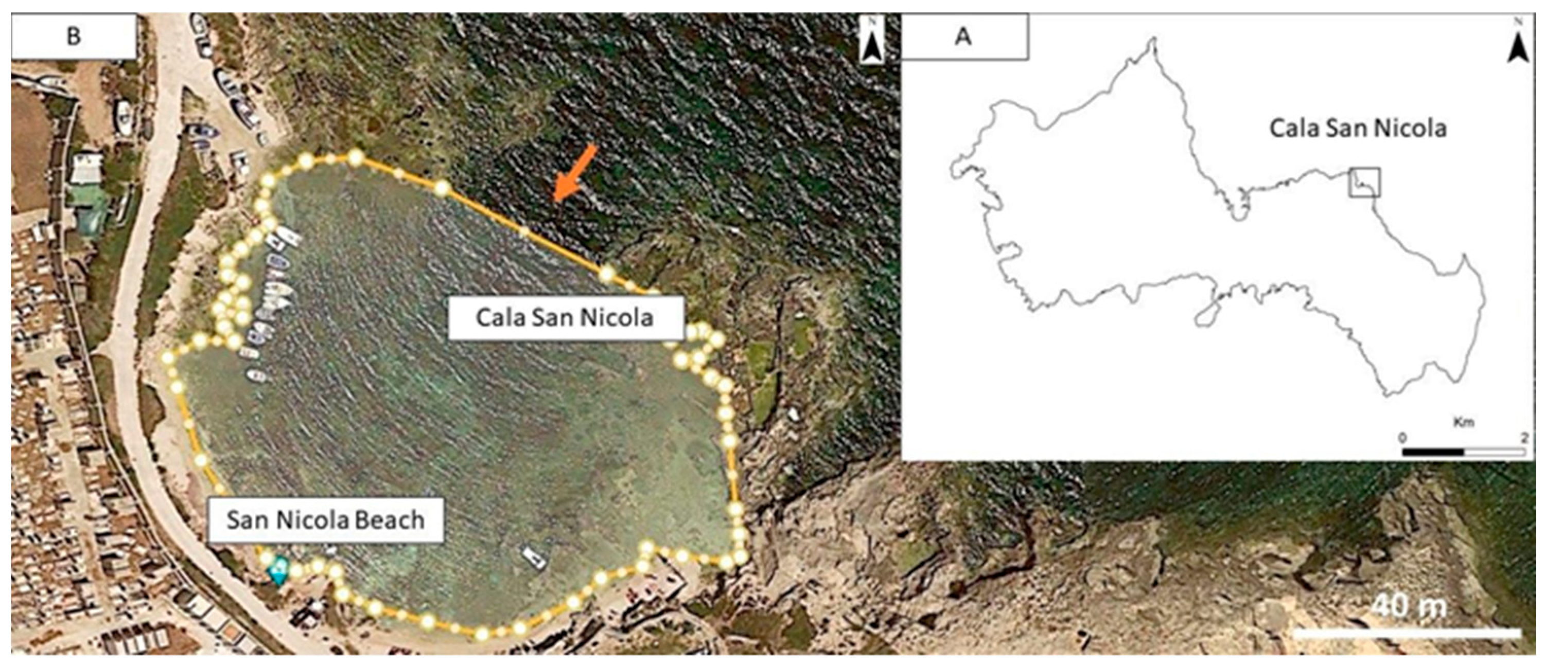 Diversity 15 00919 g001