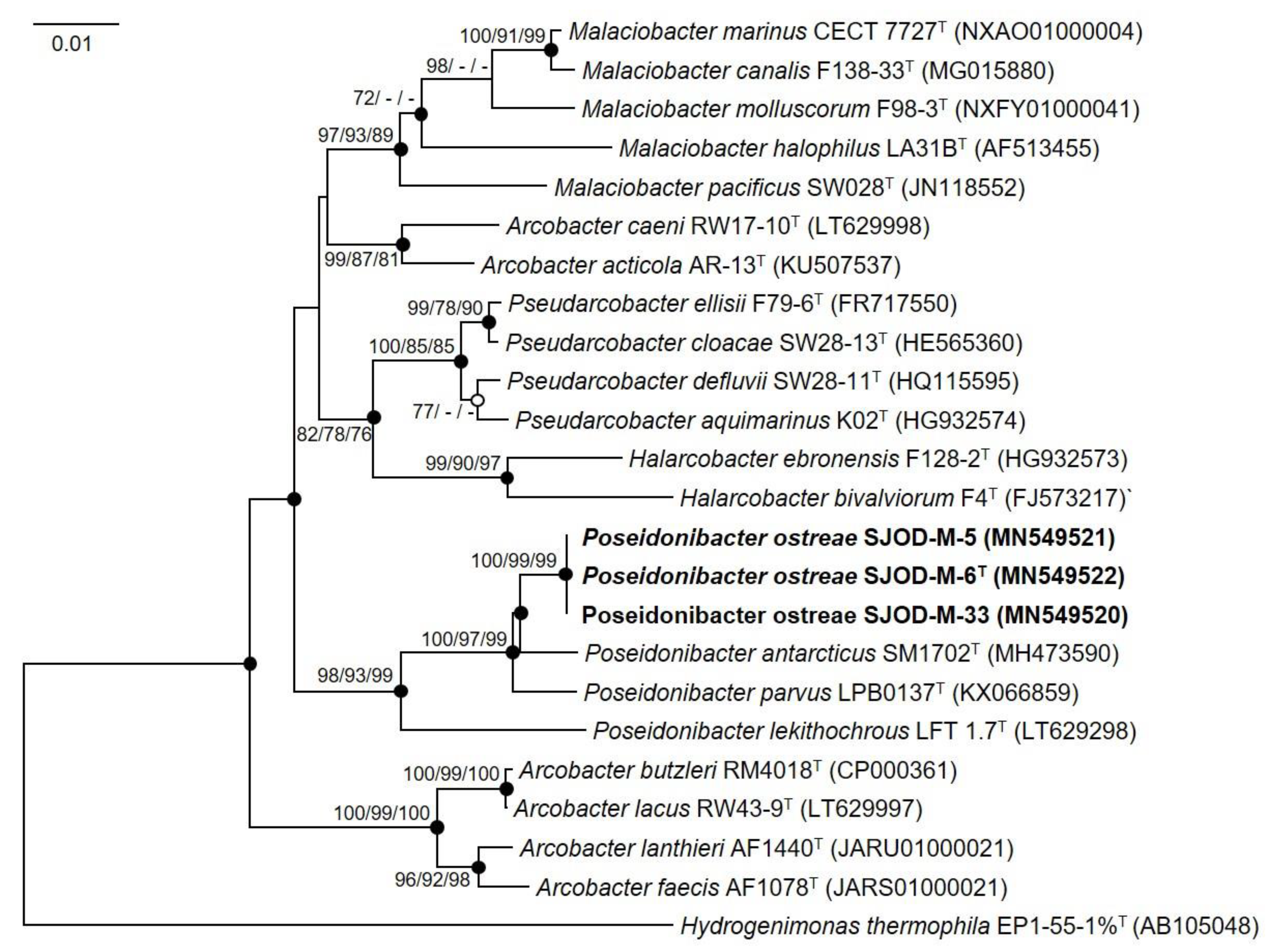 Diversity 15 00920 g001 Diversity 15 00920 g001