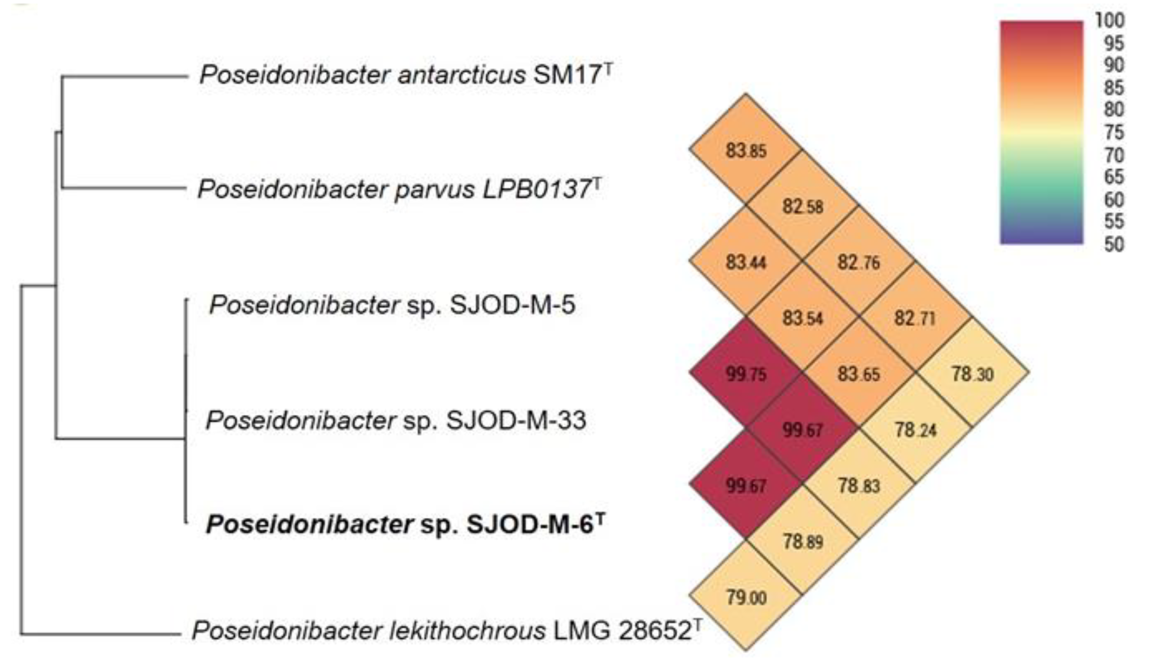 Diversity 15 00920 g002 Diversity 15 00920 g002