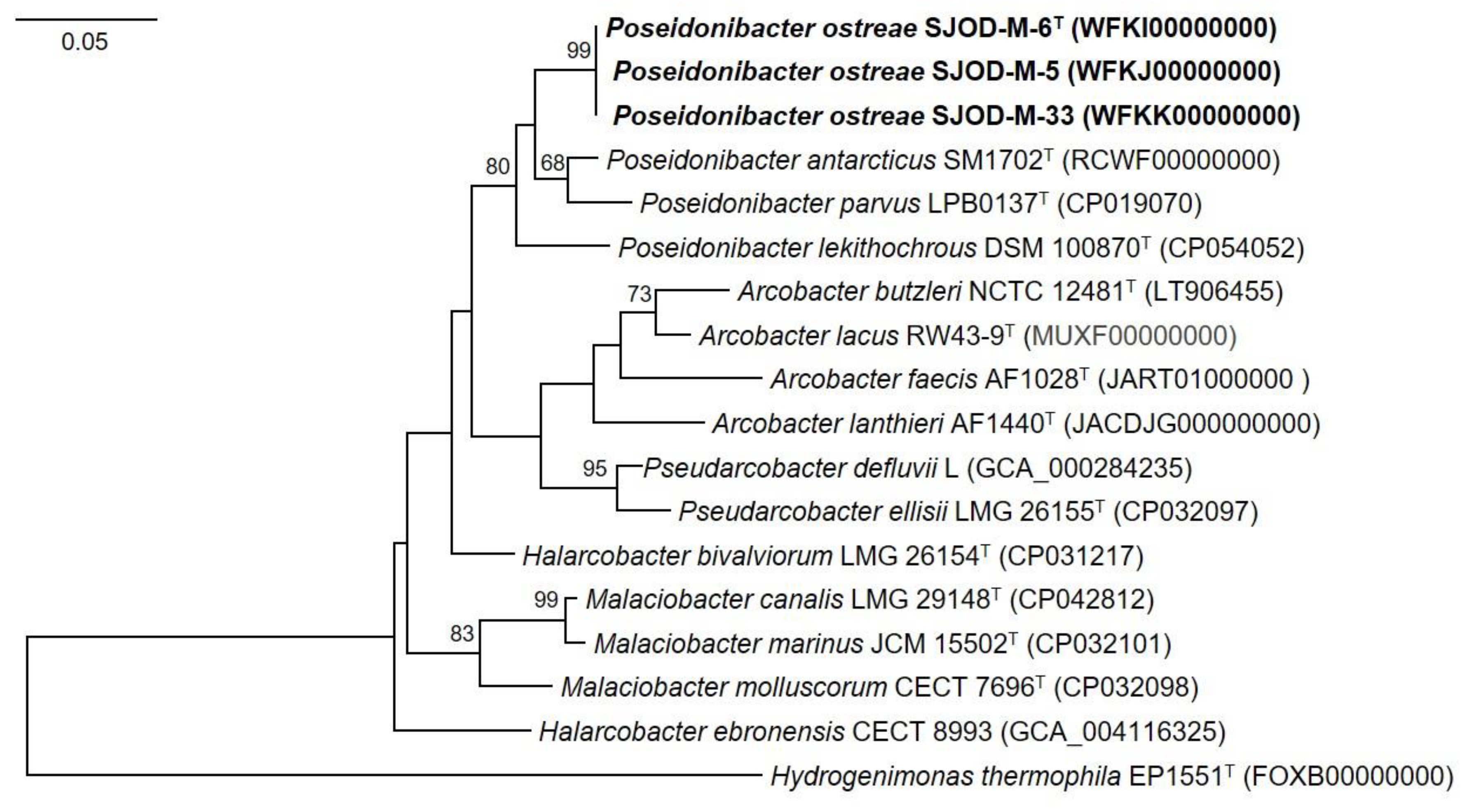 Diversity 15 00920 g003 Diversity 15 00920 g003