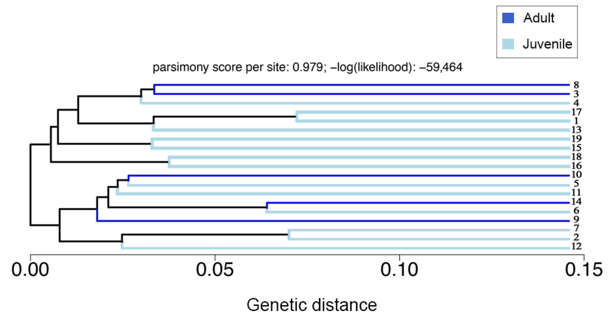 Diversity 15 00923 g002