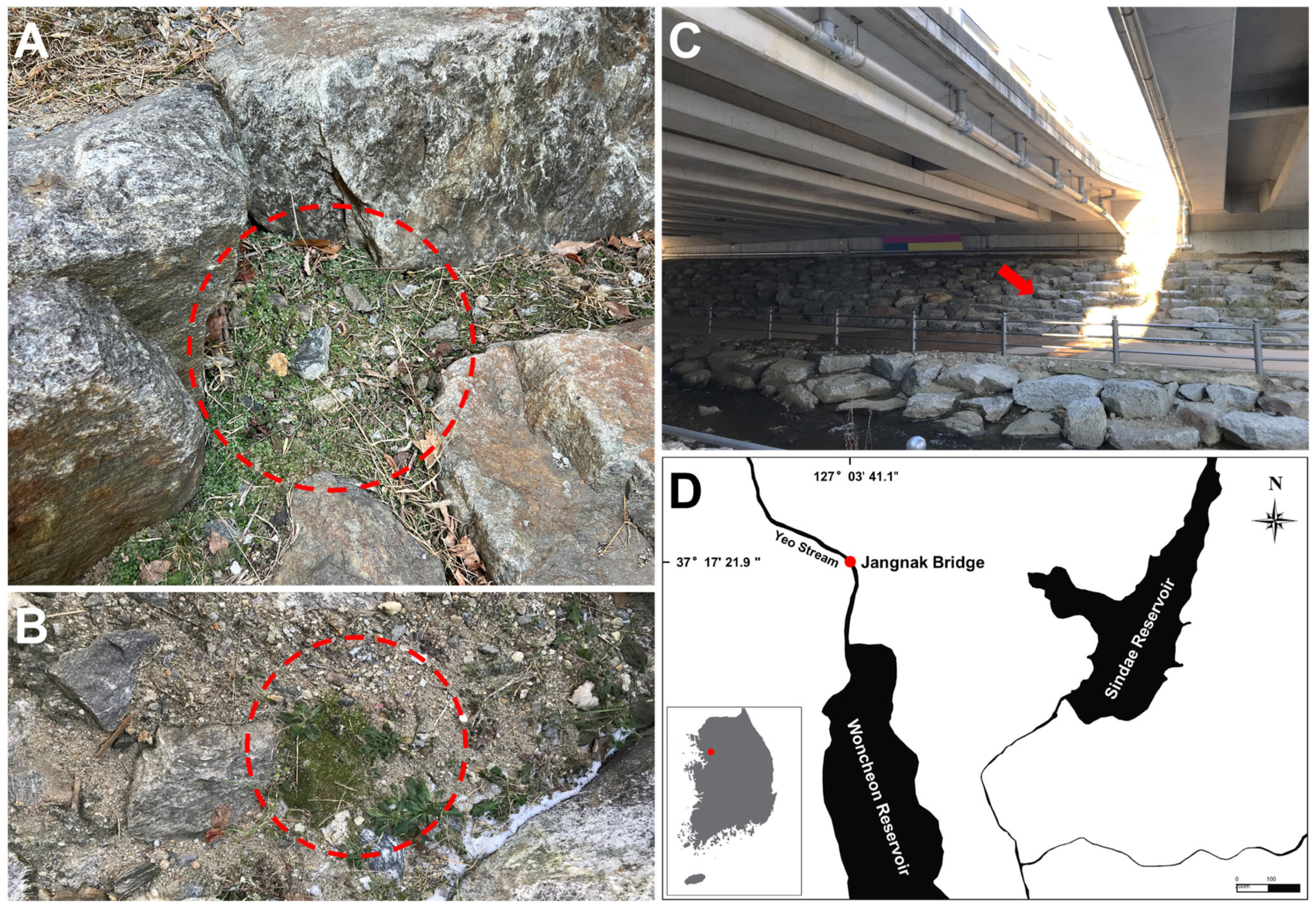 Diversity 15 00926 g001