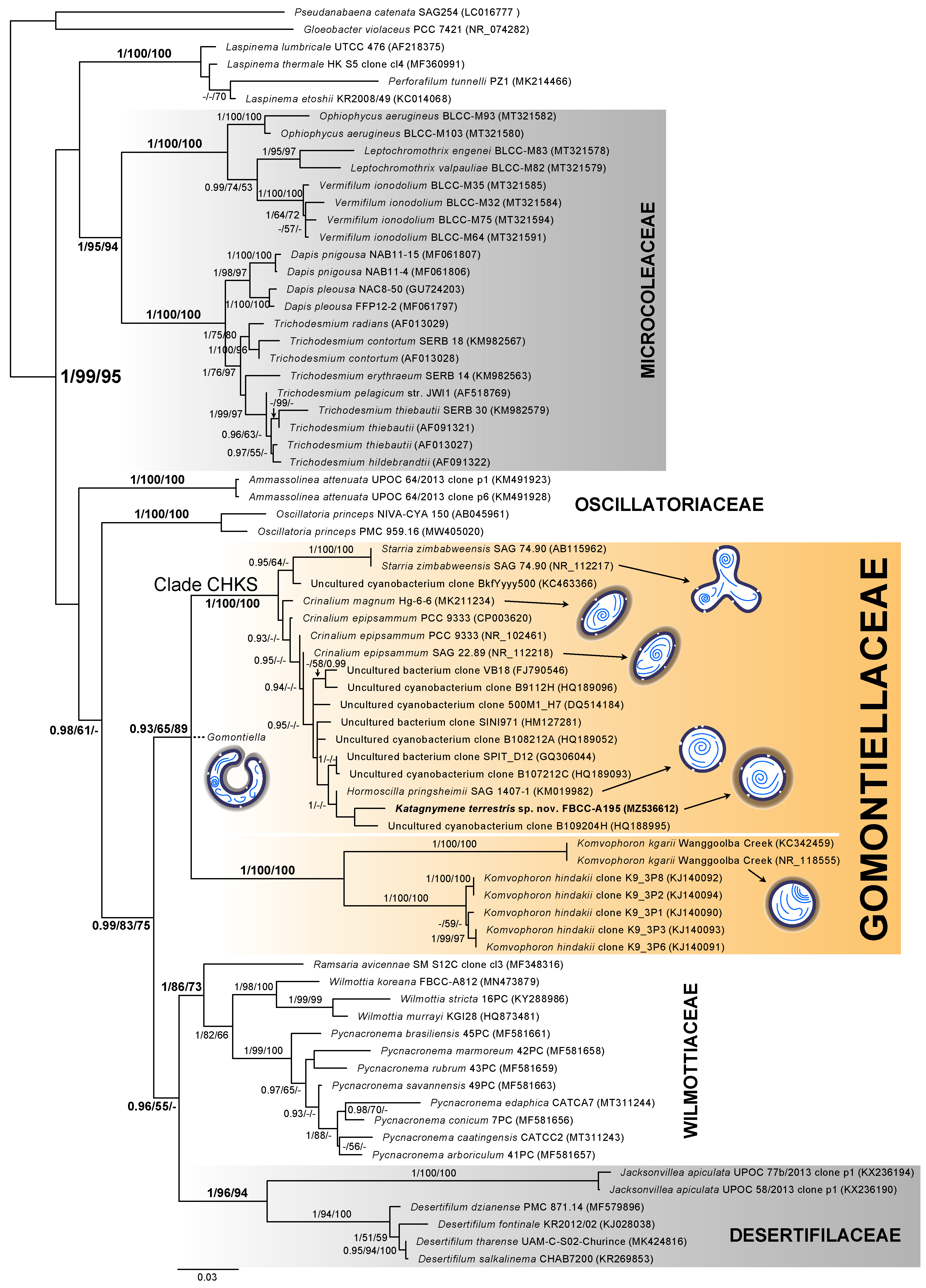 Diversity 15 00926 g005