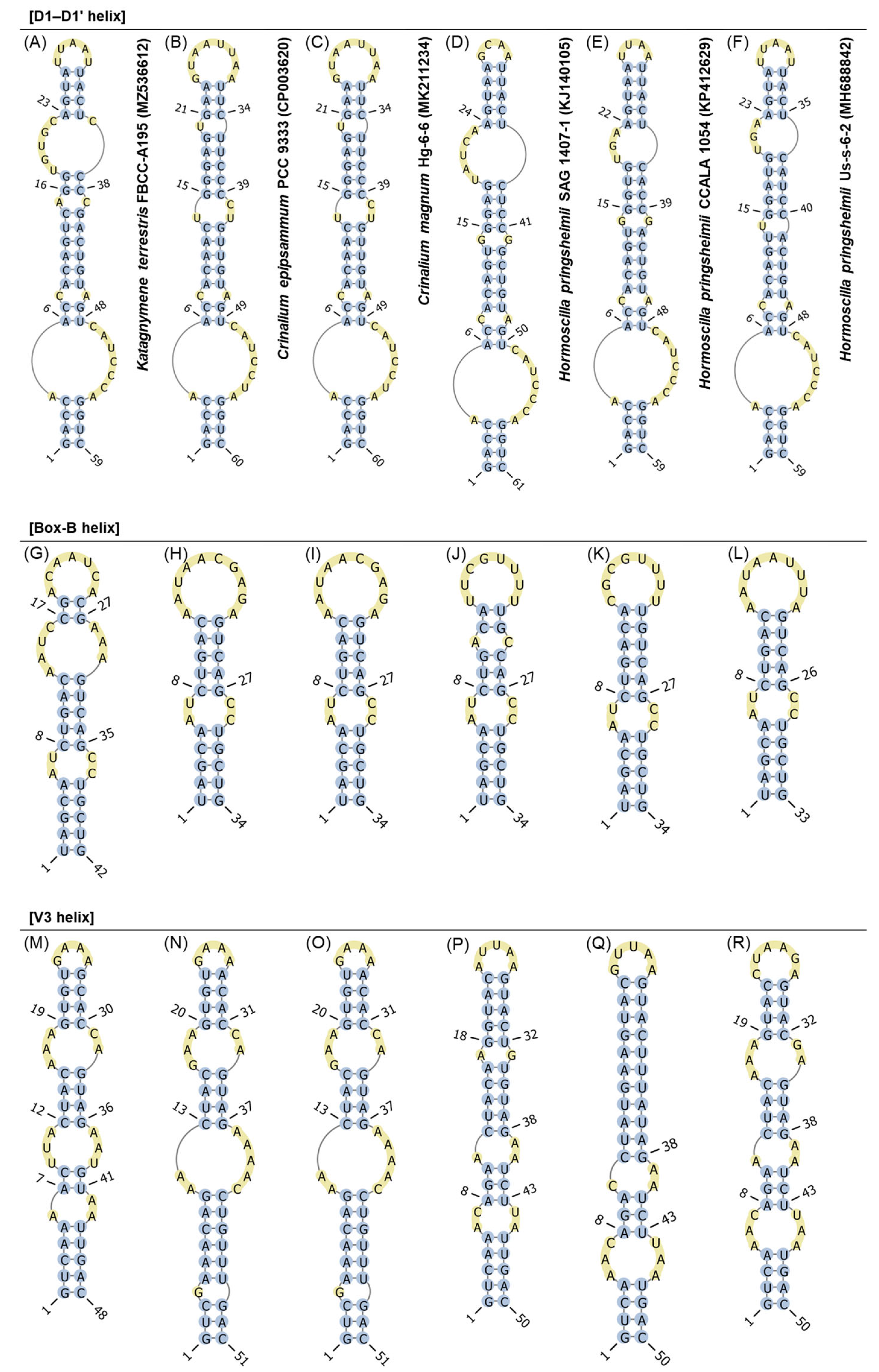 Diversity 15 00926 g007