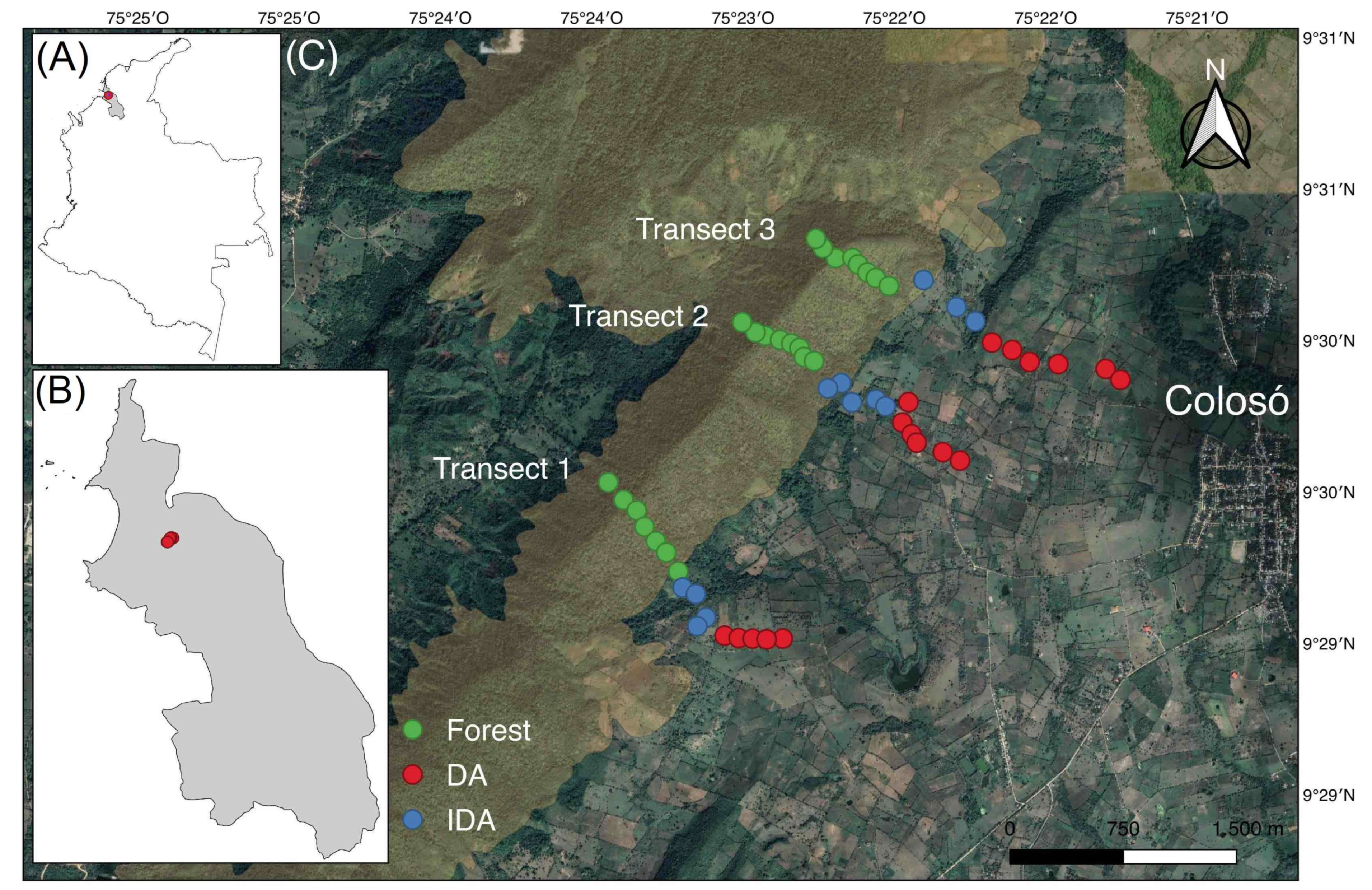 Diversity 15 00927 g001