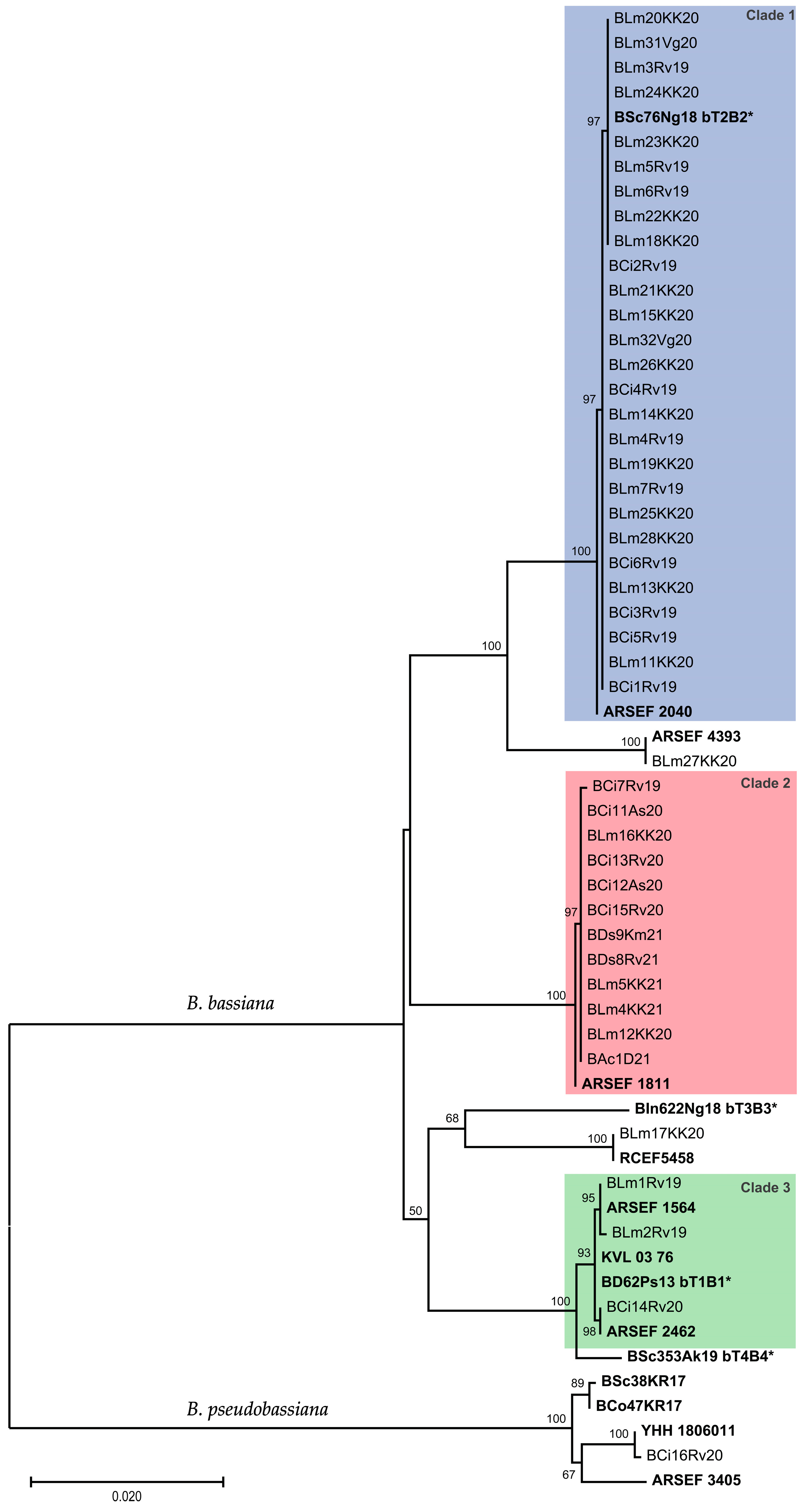 Diversity 15 00930 g002 Diversity 15 00930 g002