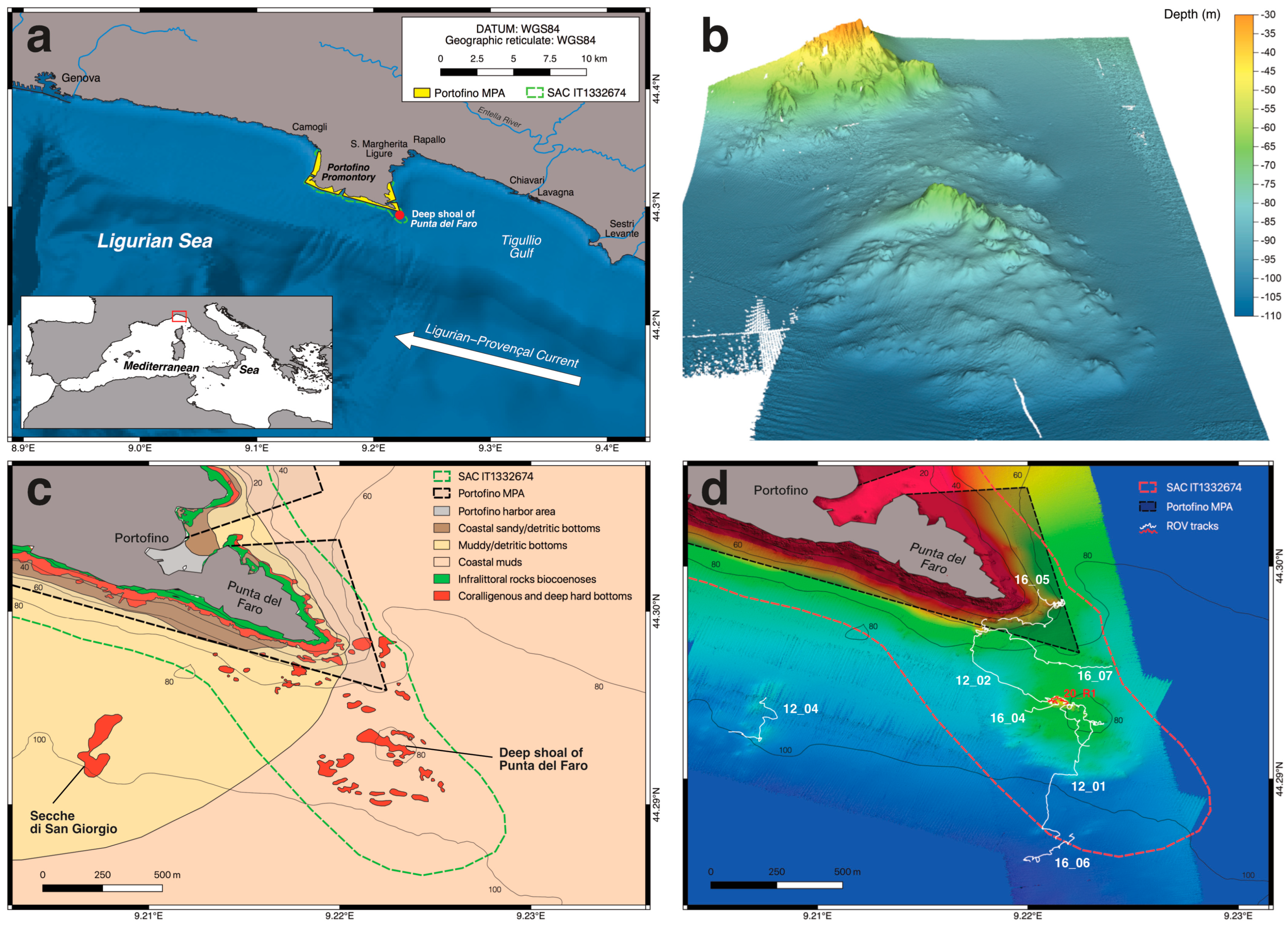 Diversity 15 00933 g001