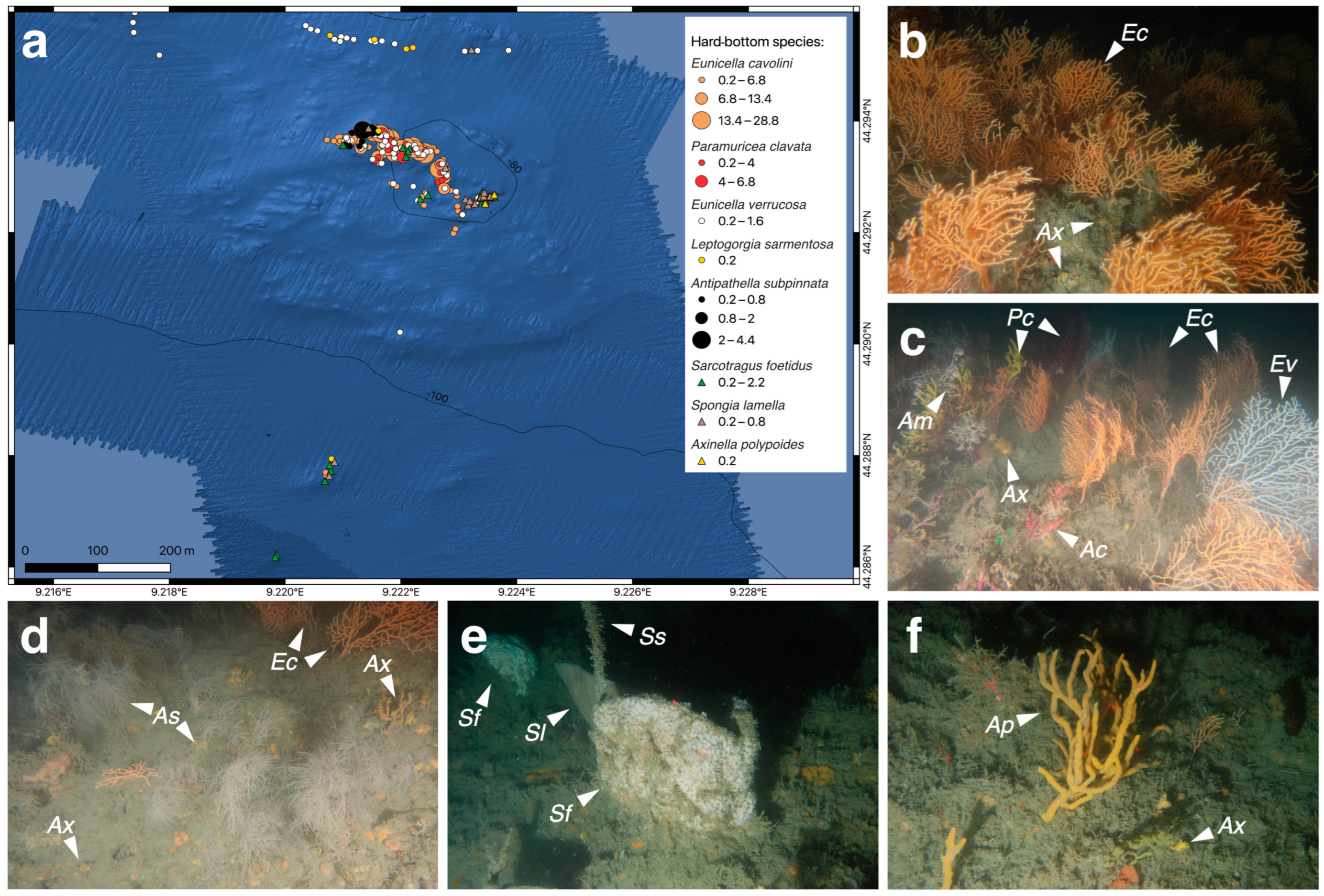 Diversity 15 00933 g003