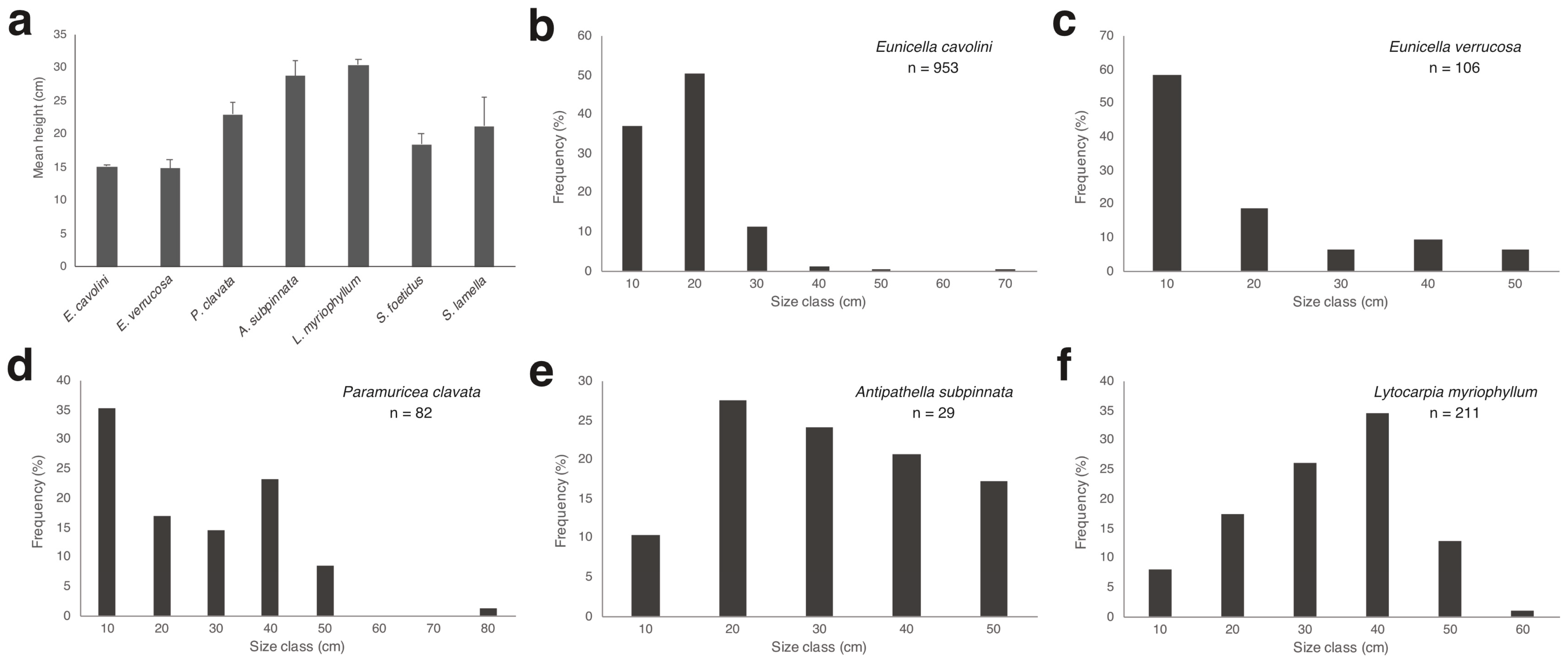 Diversity 15 00933 g006