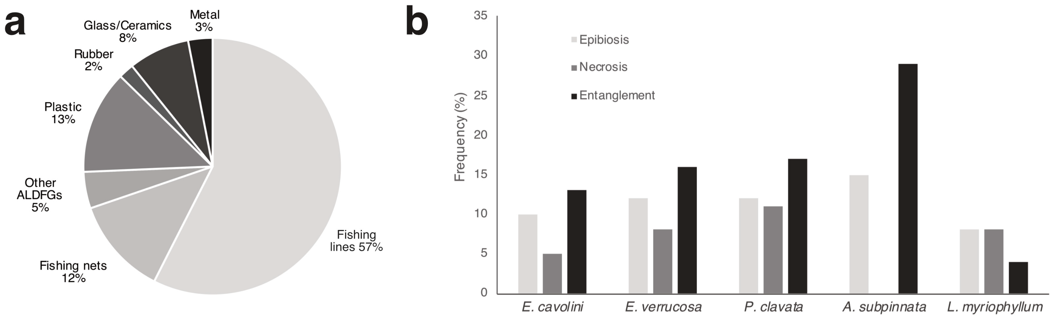 Diversity 15 00933 g007